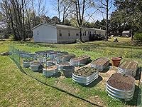 Review Image by Tiffany H