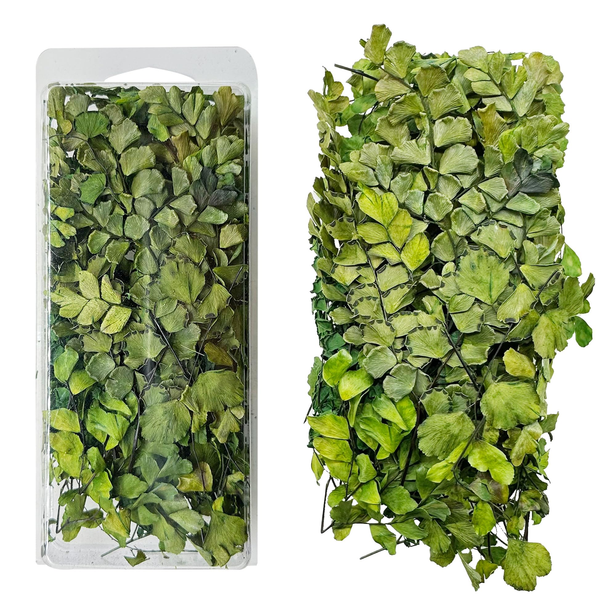 Woohome Model Scenery Leaf, 1 Box Realistic Miniature Leaves Simulation Leaves with Tweezers for Train Landscape Railway Artificial Grass Modeling - Dark Color