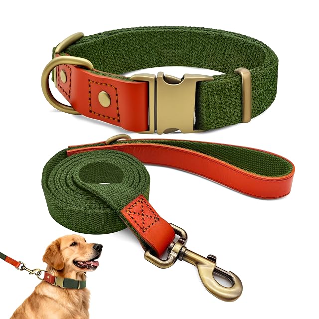 Set de Collar y Correa 152cm para Perros XL (43-66cm) Nailon (Verde)