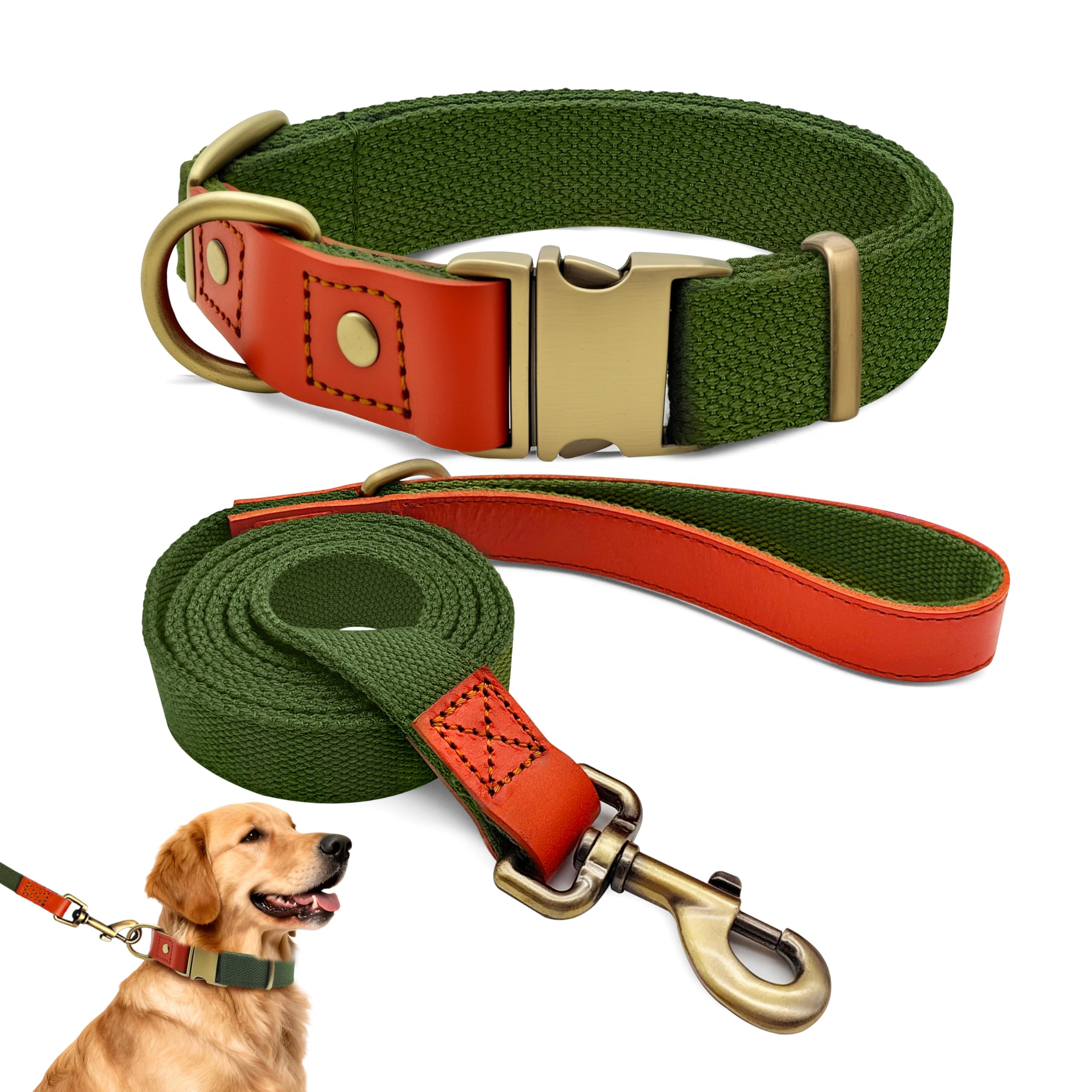 Collier tactique pour grand chien avec laisse réglable nylon vert kaki QRDA
