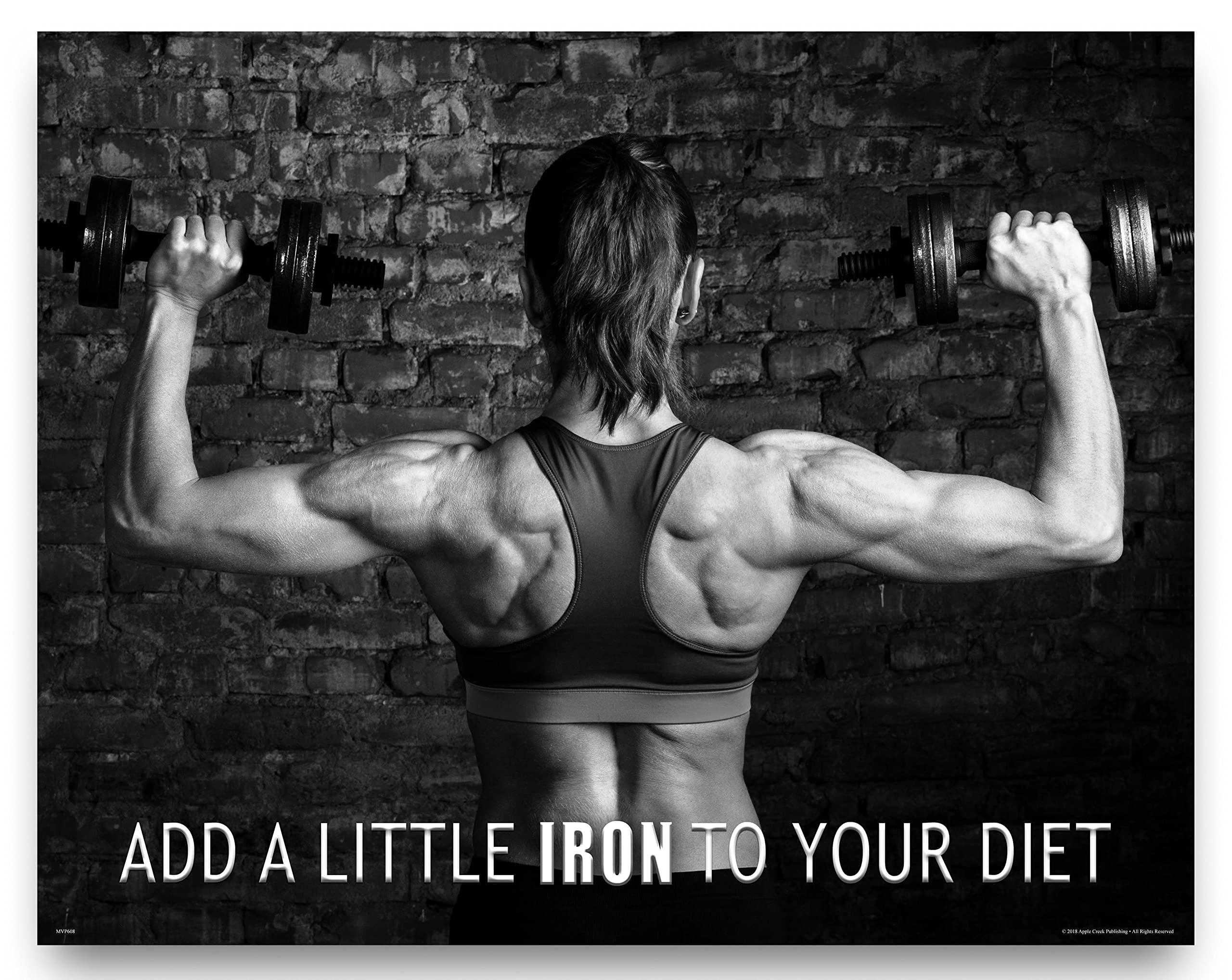 Workout Poster Motivational Art Print Weight Lifting Gym Womens Mens |  Desertcart Seychelles, image size:2560x2037