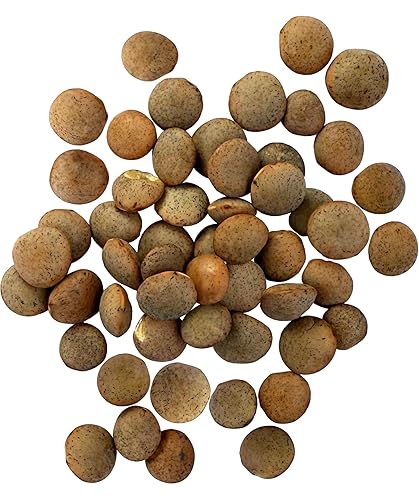 Miniatura 2 de Palouse - Lentejas pequeñas color marrón • Pardina o marrón español • Proyecto sin OMG verificado • 5 libras • 100% no irradiado • Certificado