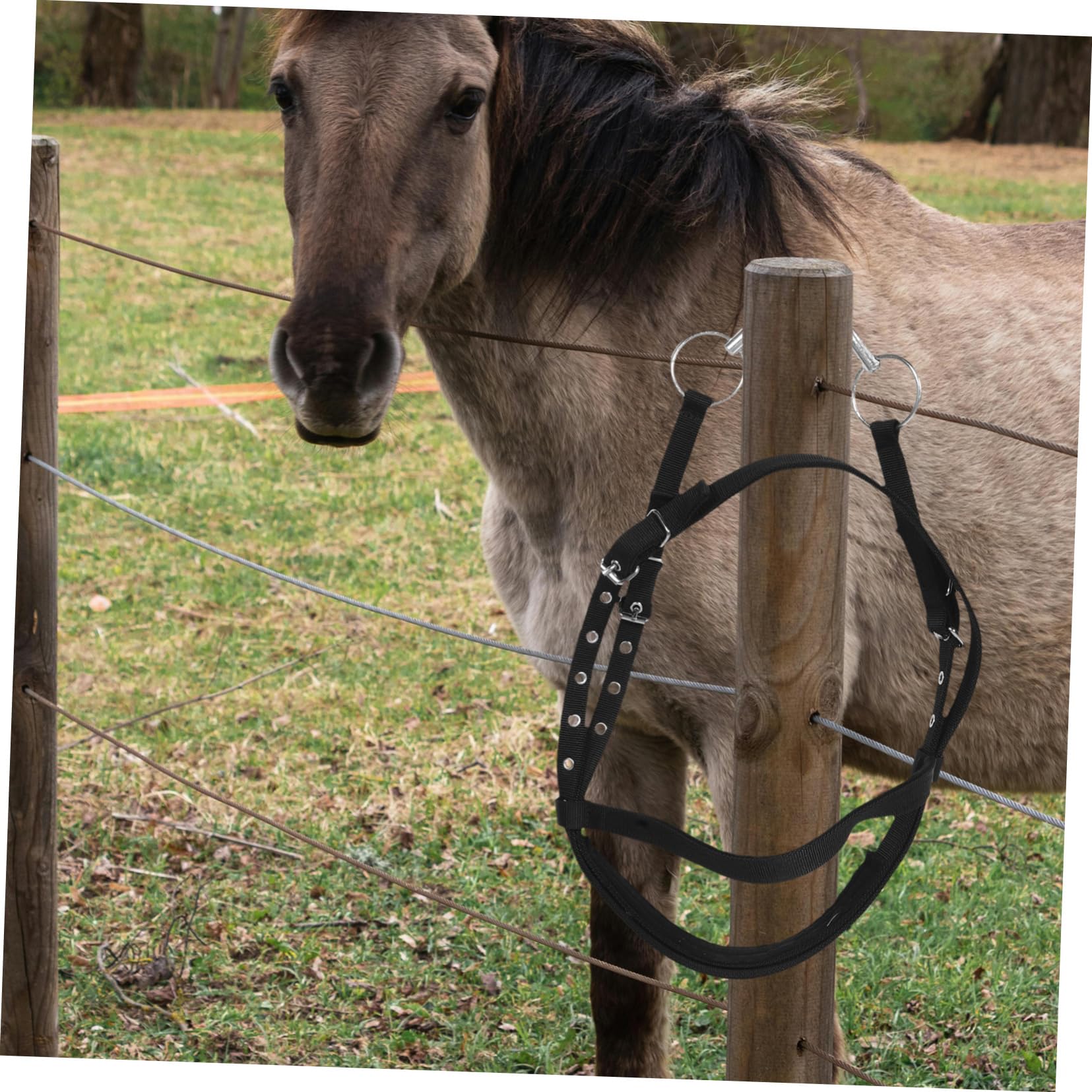 De Nylon Resistente para Entrenamiento Ecuestre Diseño Cómodo Mordida para Montar y Actividades Múltiples para Caballos Altura