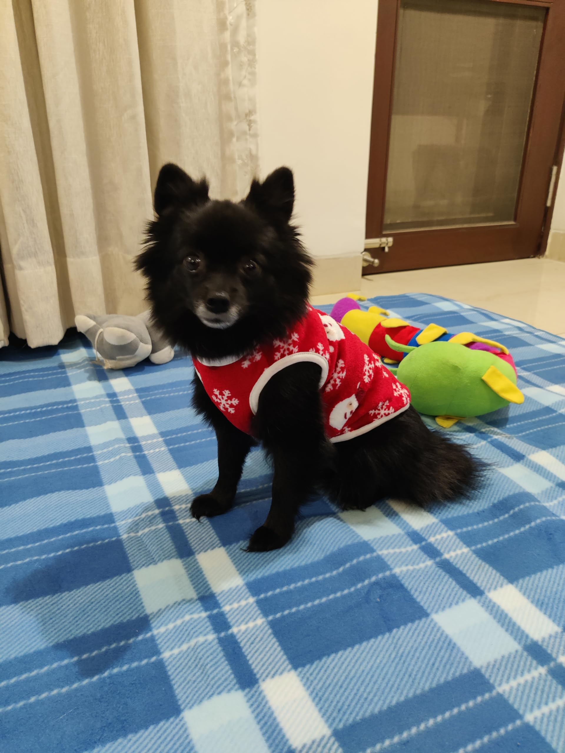 Freshly Barked Dog Christmas Sweatshirt Tshirt Red White Winter Xmas Santa Print Adorable Pet, Puppy Clothes for Style and Cozy Comfort Clothes (M) (B0CQ59RBN6) Amazon Price History, Amazon Price Tracker