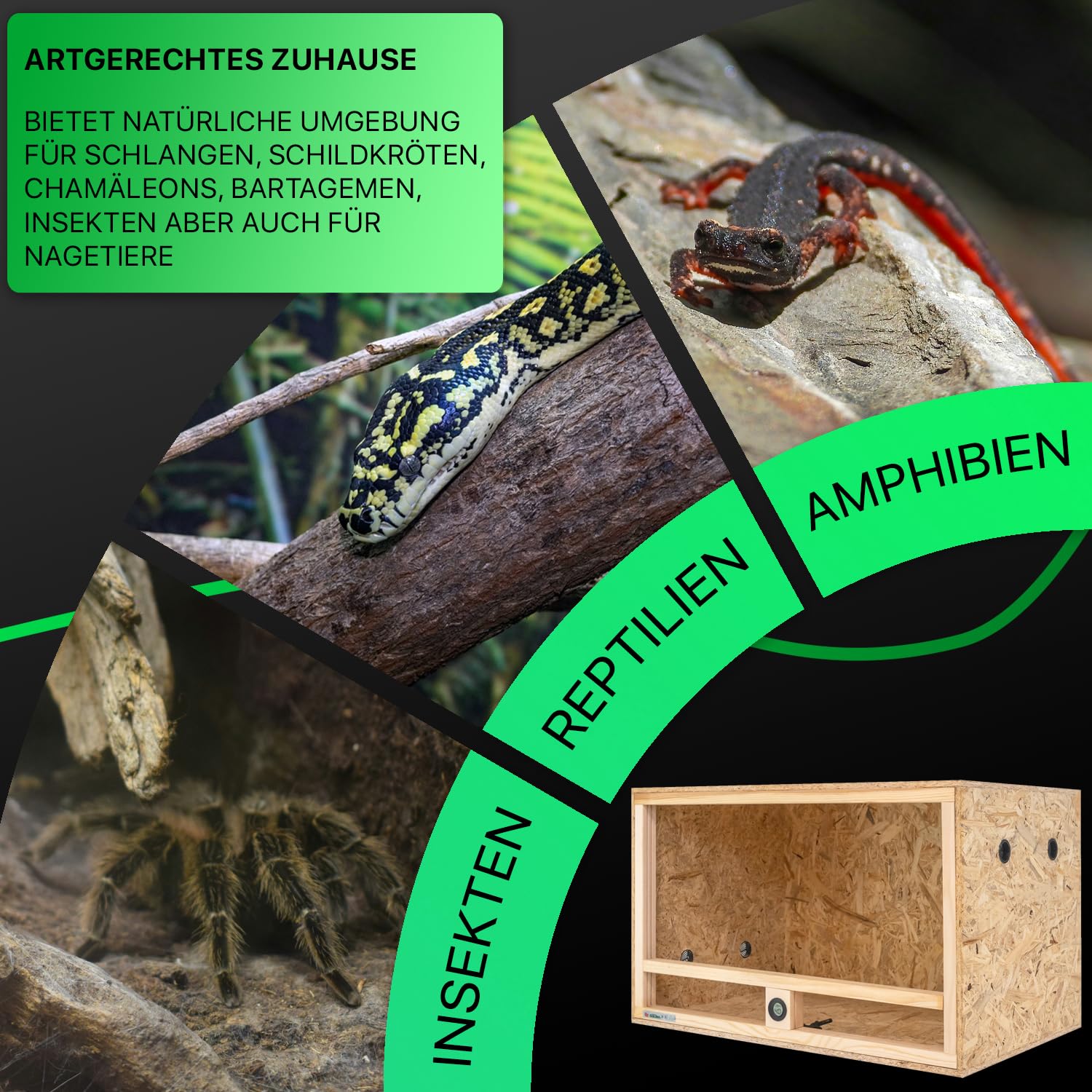 ITA Holz Terrarium 80x50x50 cm mit Seitenbelüftung & Integriertem Hygrometer - Holzterrarium aus OSB-3 Platten - Terrarien für Reptilien, Schlangen, Amphibien - EU Produkt, FSC Zertifiziert