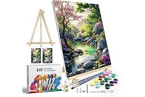 JOOZ Exquisite Framed Paint by Numbers, a Relaxing Painting Gateway to Creative...