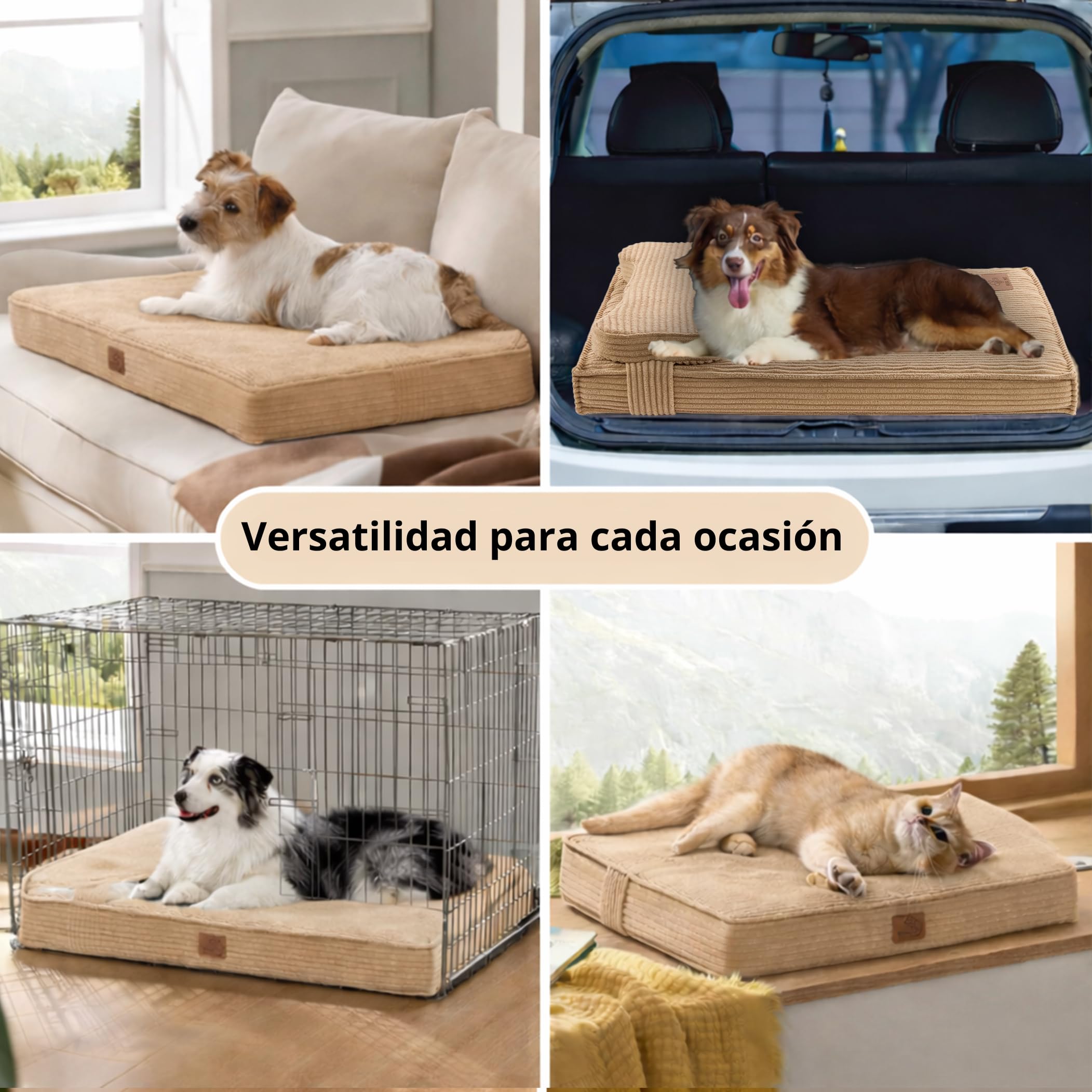 Cama Perro ortopédica antiestrés Lavable Funda Impermeable (Small)