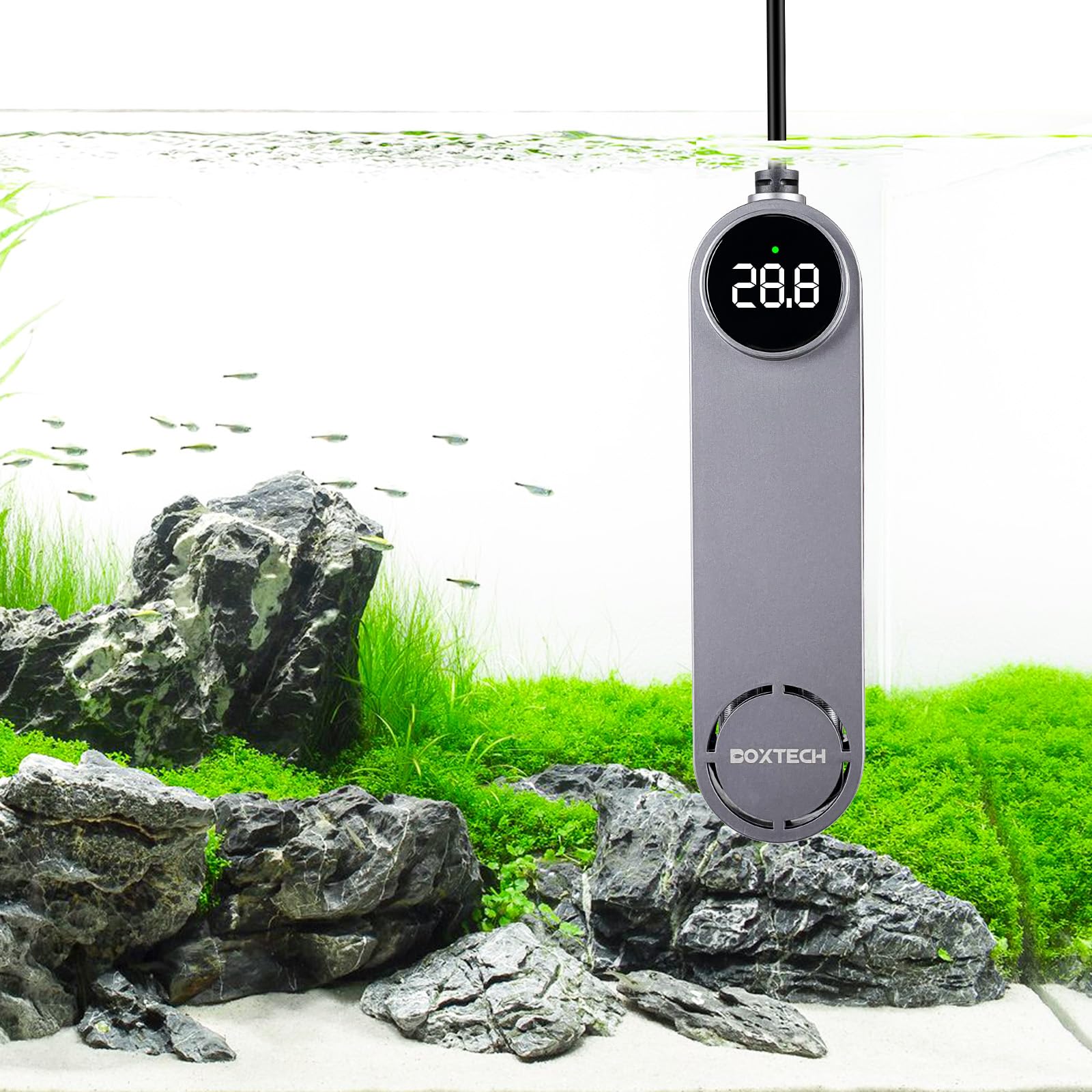 Mini chauffage d'aquarium digital boxtech 50W pour un contrôle précis de la température