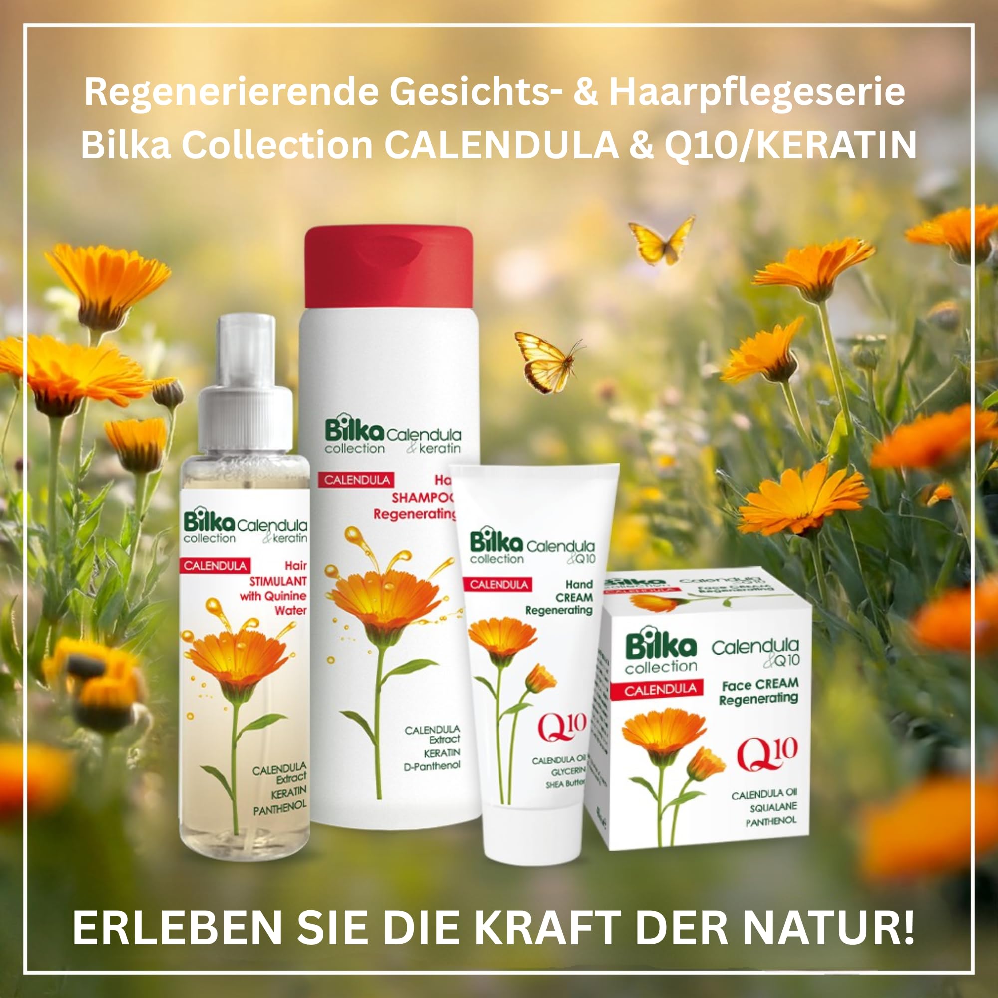 Stimulans de croissance des cheveux au calendula et à la kératine - Avec eau de quinine, kératine et extrait de calendula - Soin capillaire pour favoriser la croissance des cheveux et