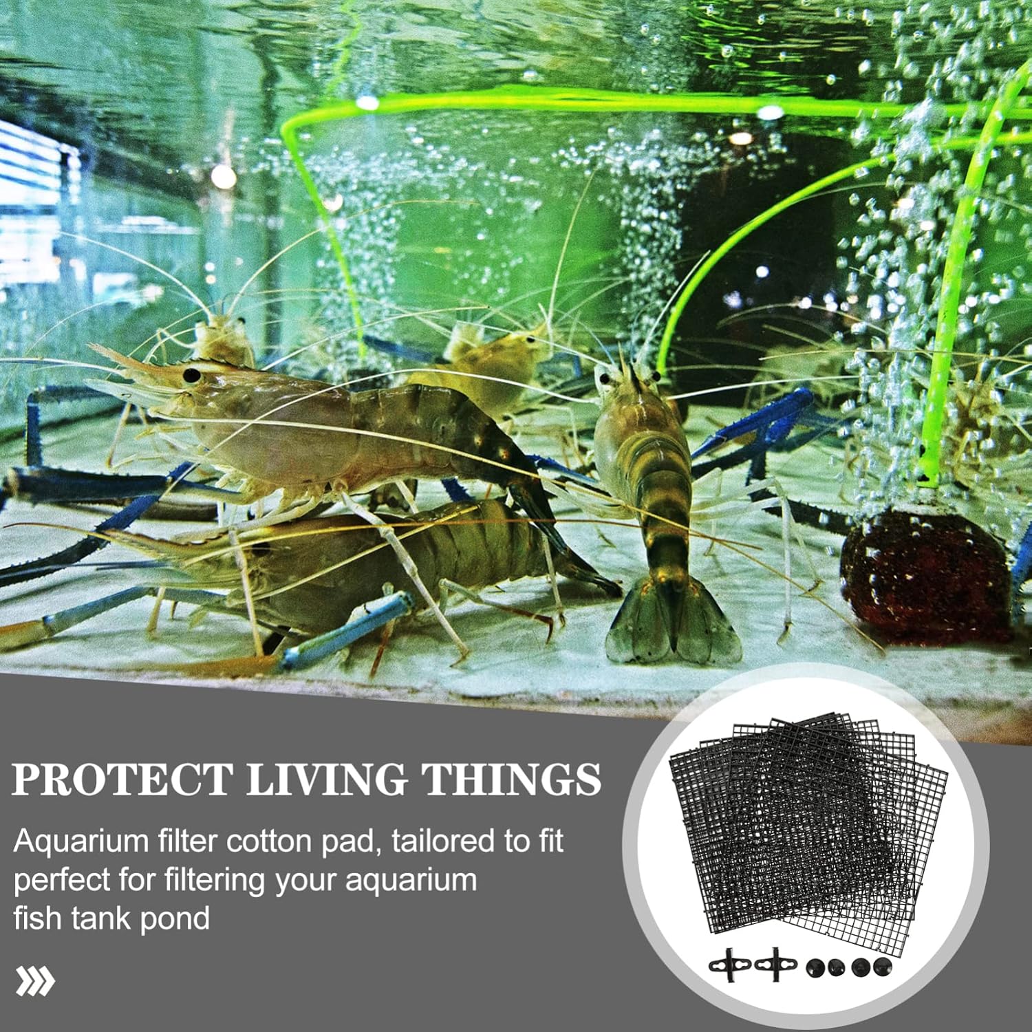 Ipetboom 1set Aquarium Dividers Cups Fish Tank Bottom Partition to Install Fish Divider for Aquarium Maintenance