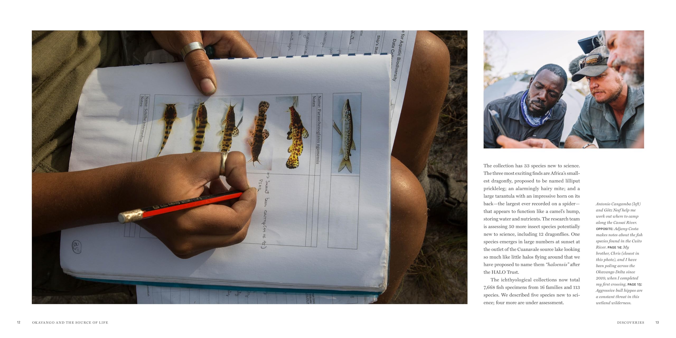 Okavango and the Source of Life: Exploring Africa's Lost Headwaters