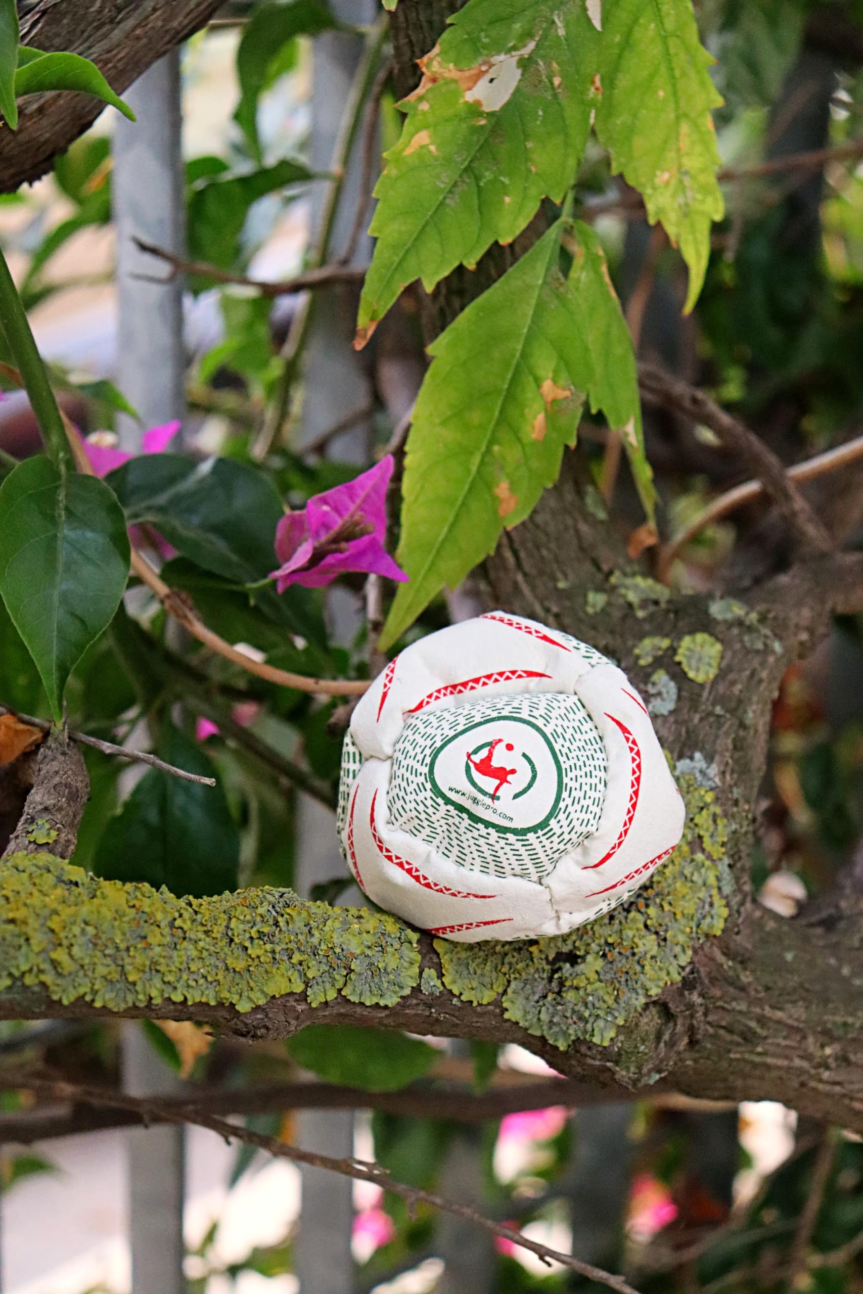 Footbag Officiel Coupe du Monde 2010 8 Panneaux Ultrasuede