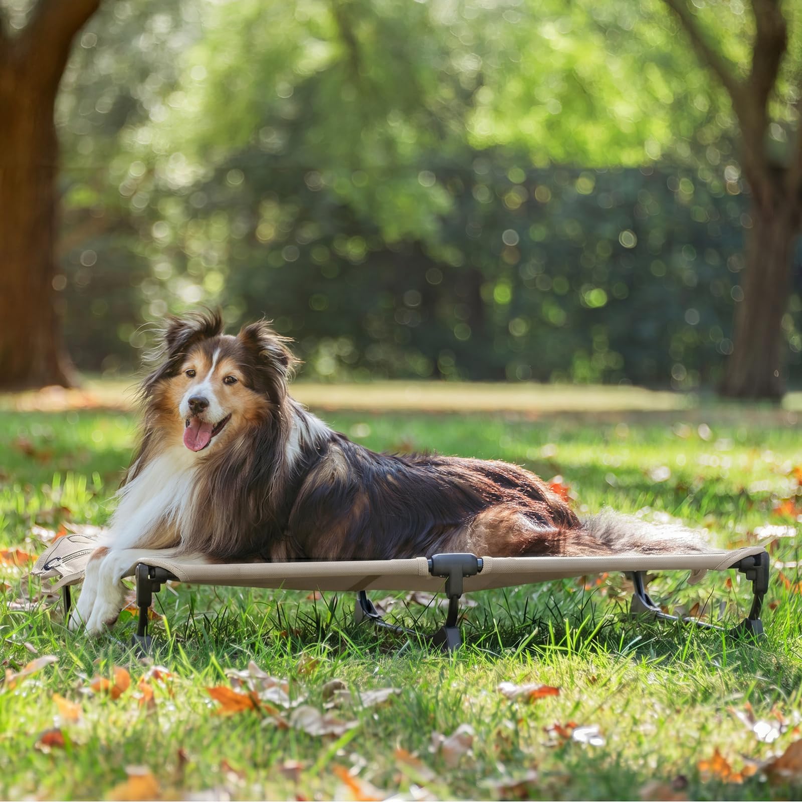 CANINE CANYON Verbessertes rutschfestes Gänseblümchenbett, mittelgroß, faltbar, erhöhtes Hundebett, tragbar, erhöht, für den Außenbereich, zusammenklappbar, für Camping/Zuhause, kaufest, wasserdicht