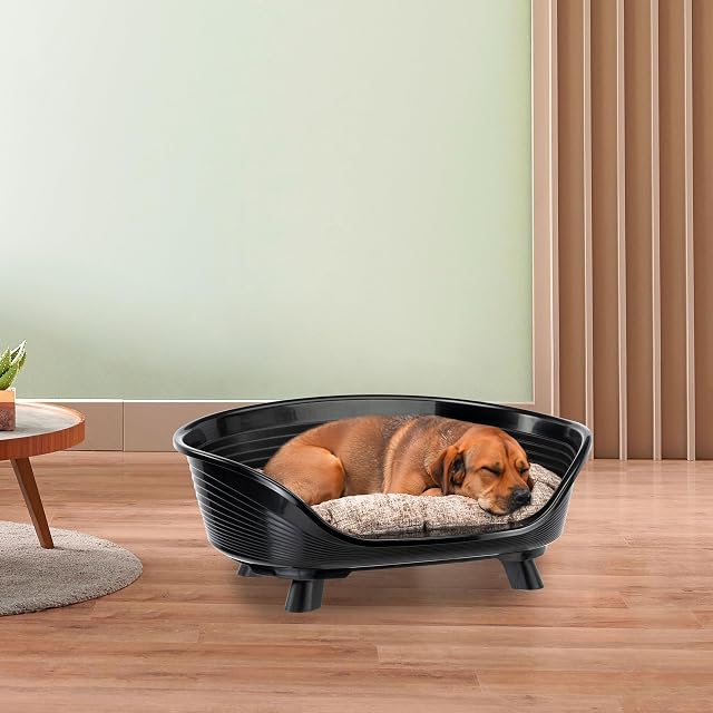 Foto 3 de 7 de Ferplast Cama Perro y Gato con Cojin Algodon, Cama Elevada Perro, Cama para Perros Medianos
