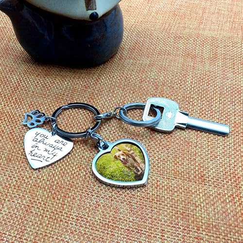 Miniatura 3 de Pet Dog Remembrance - Marco de fotos conmemorativo para regalos, regalo de condolencias de mascotas, You are Always in My Heart, plateado