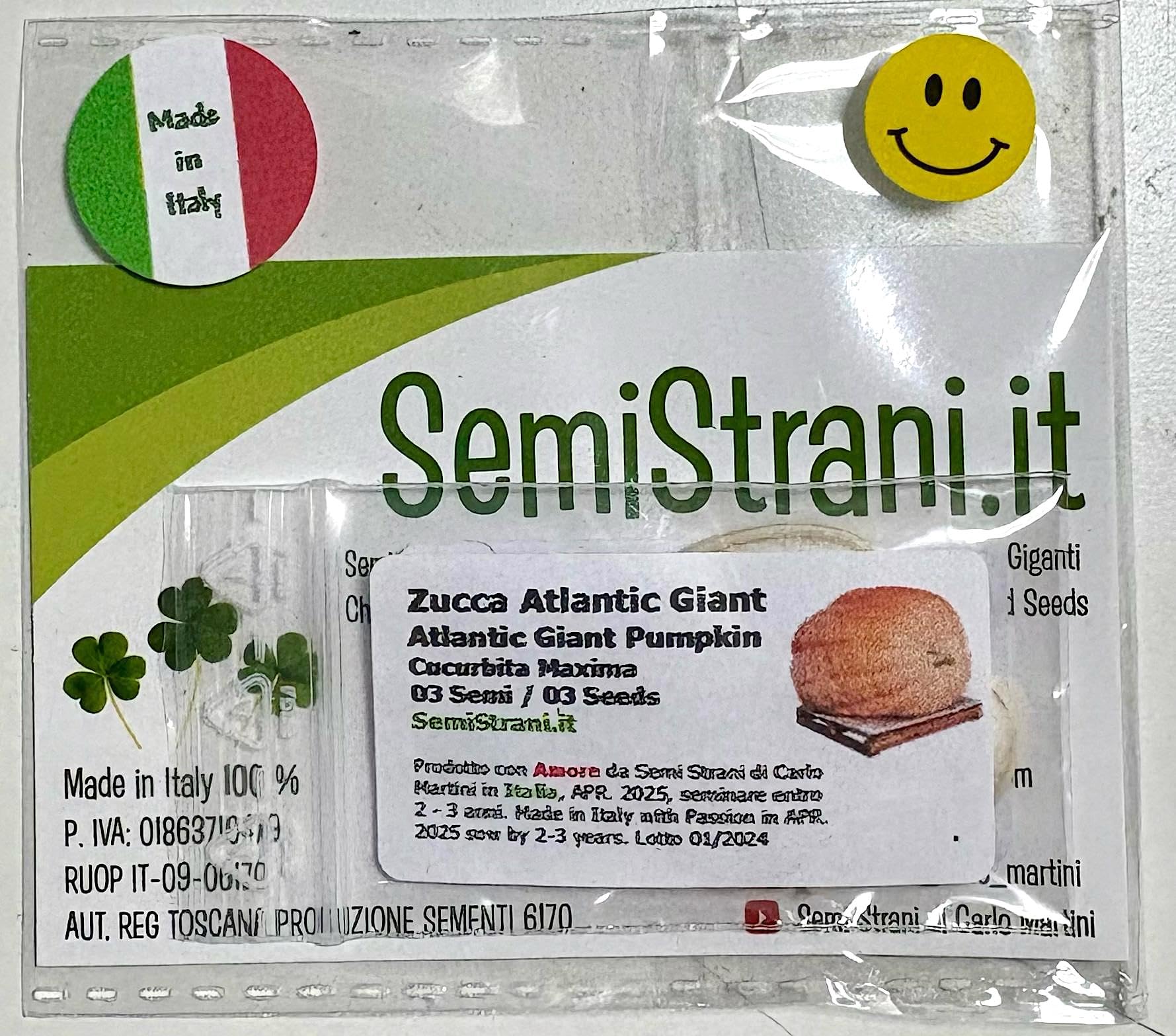 SEMISTRANI.IT - 03 Semi di ZUCCA GIGANTE ATLANTIC GIANT la PIU' GRANDE DEL MONDO con GENETICA da CONCORSO GUINNES DEI PRIMATI + GUIDA COLTIVAZIONE PER PRINCIPIANTI