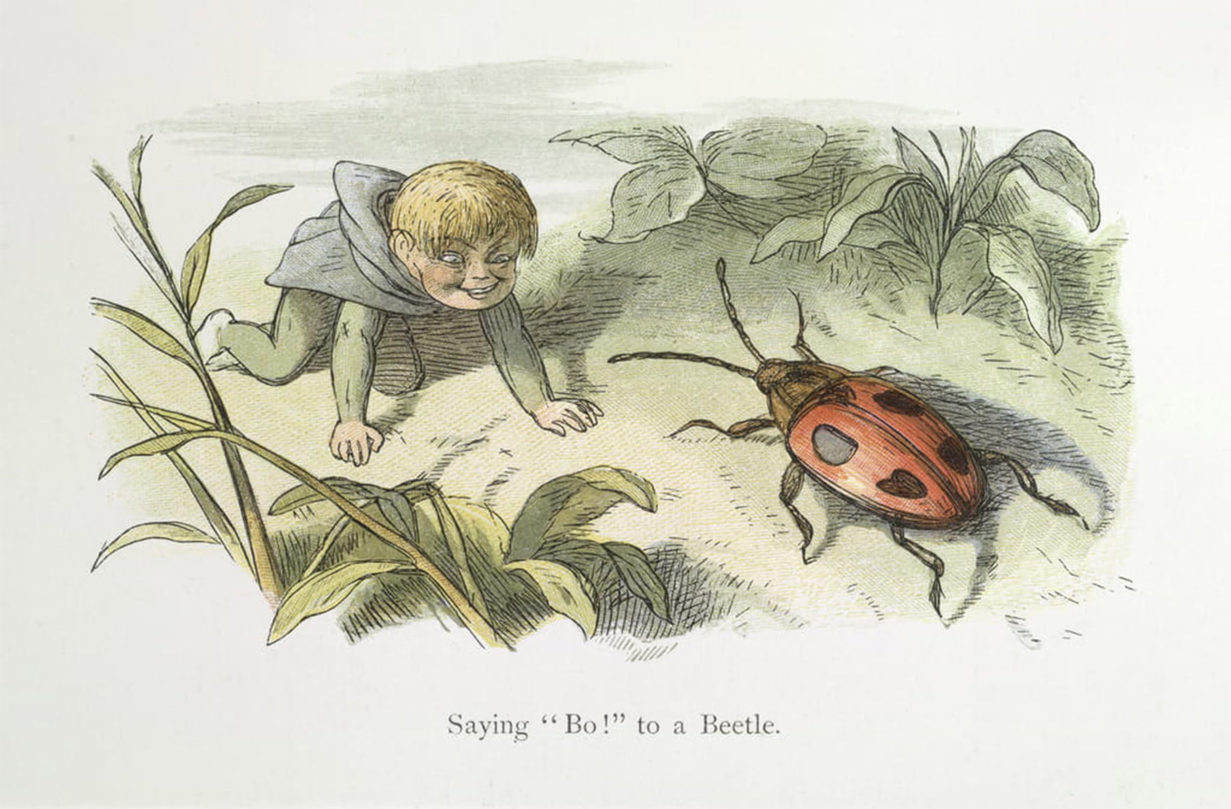 Artxlxxbn No Frame Famous Print Painting Colorful Art Print Saying Bo To A Beetle By Richard Doyle Canvas Art Decorations For Home Decor 60X90cm