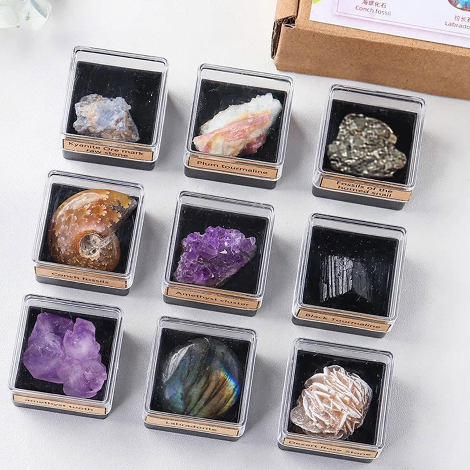 Cristalli Chakra e Pietre Curative in Confezione Regalo - Set di 9 Pezzi di Cristallo Naturale di Quarzo Grezzo per L'educazione su Rocce e Minerali, Pietre Preziose dei Chakra Curativi