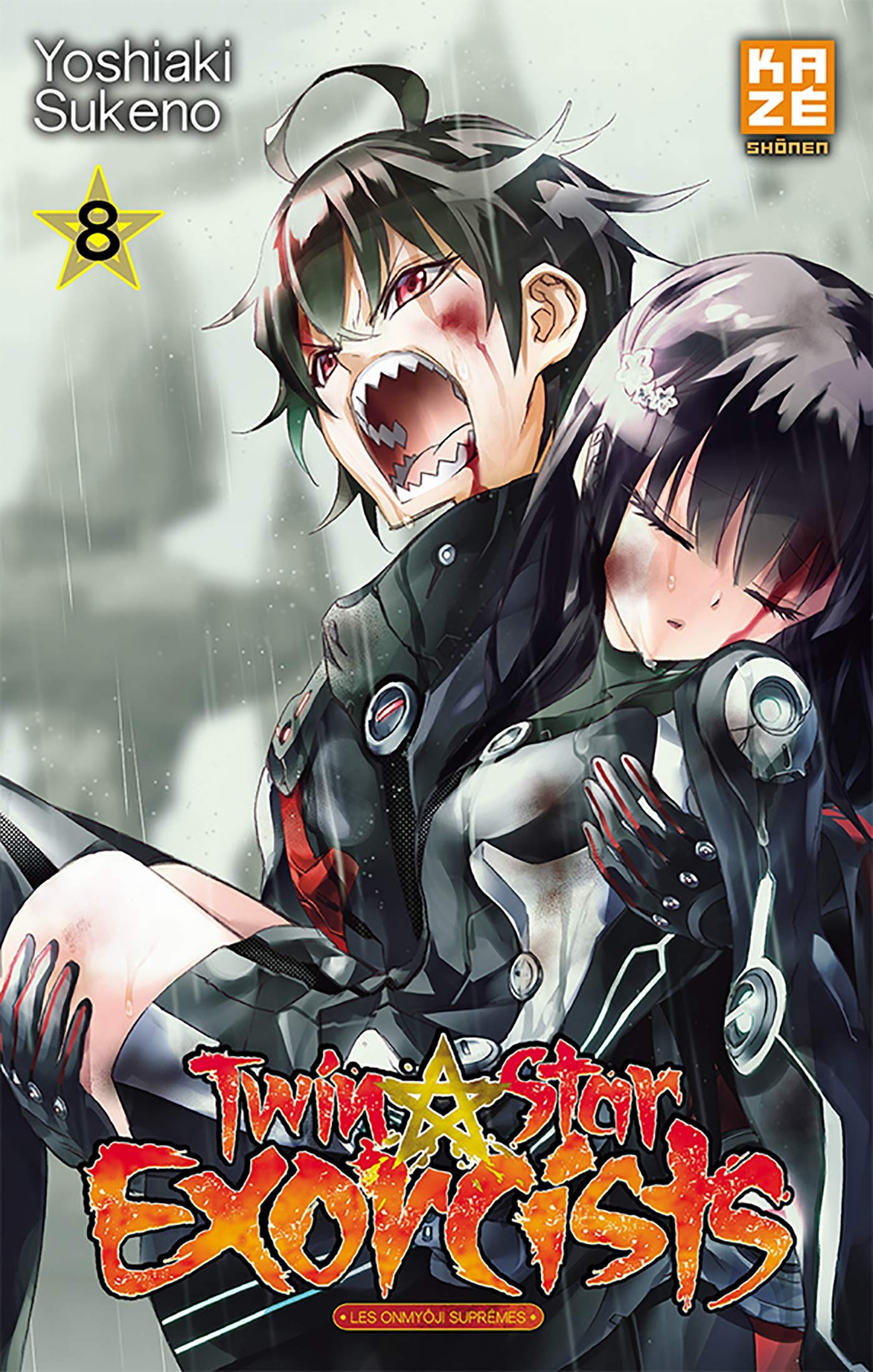 Twin Star Exorcists T08
