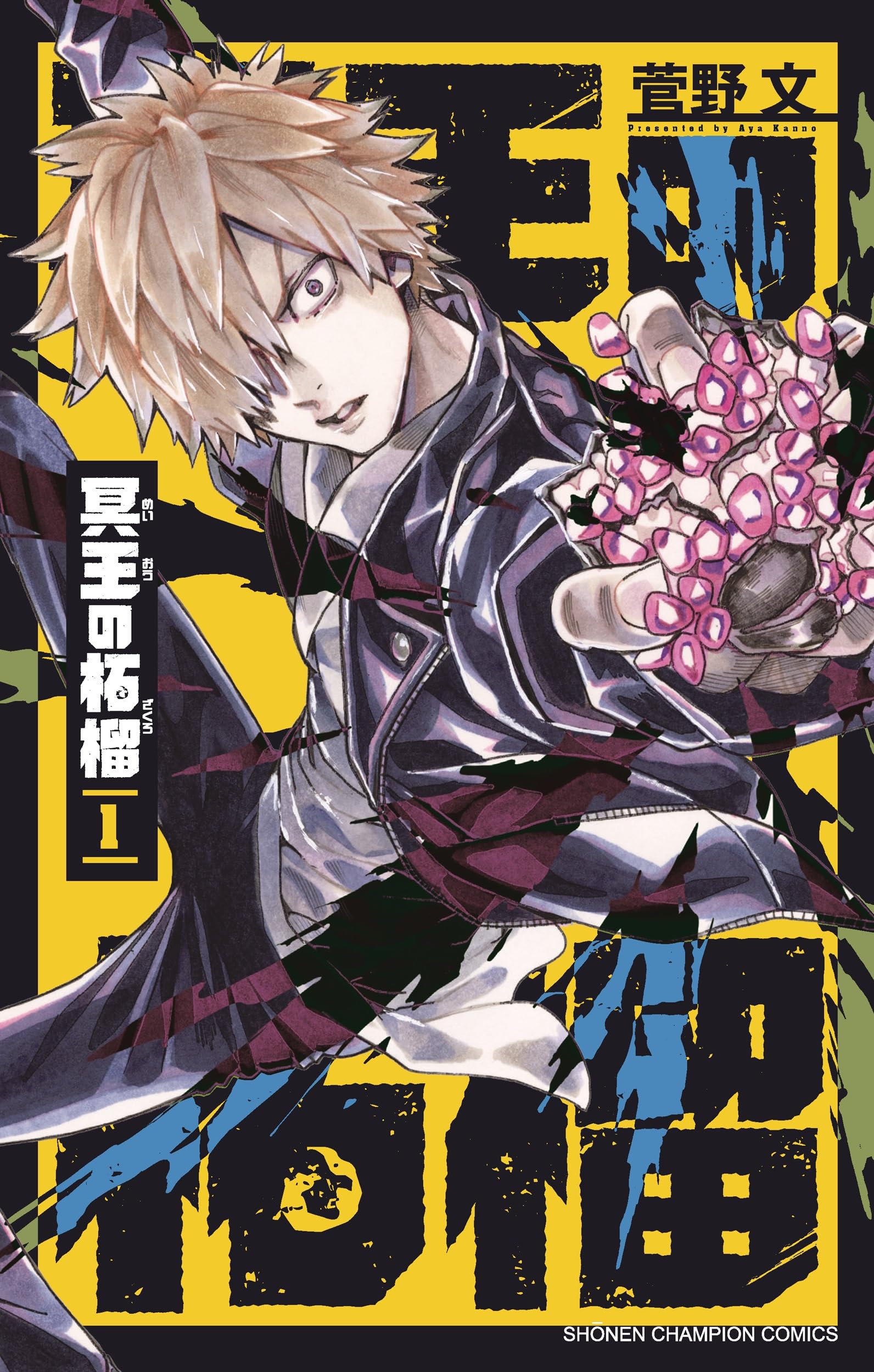 冥報記の研究 第一巻 51CEdypgDbL._AC_UF350,