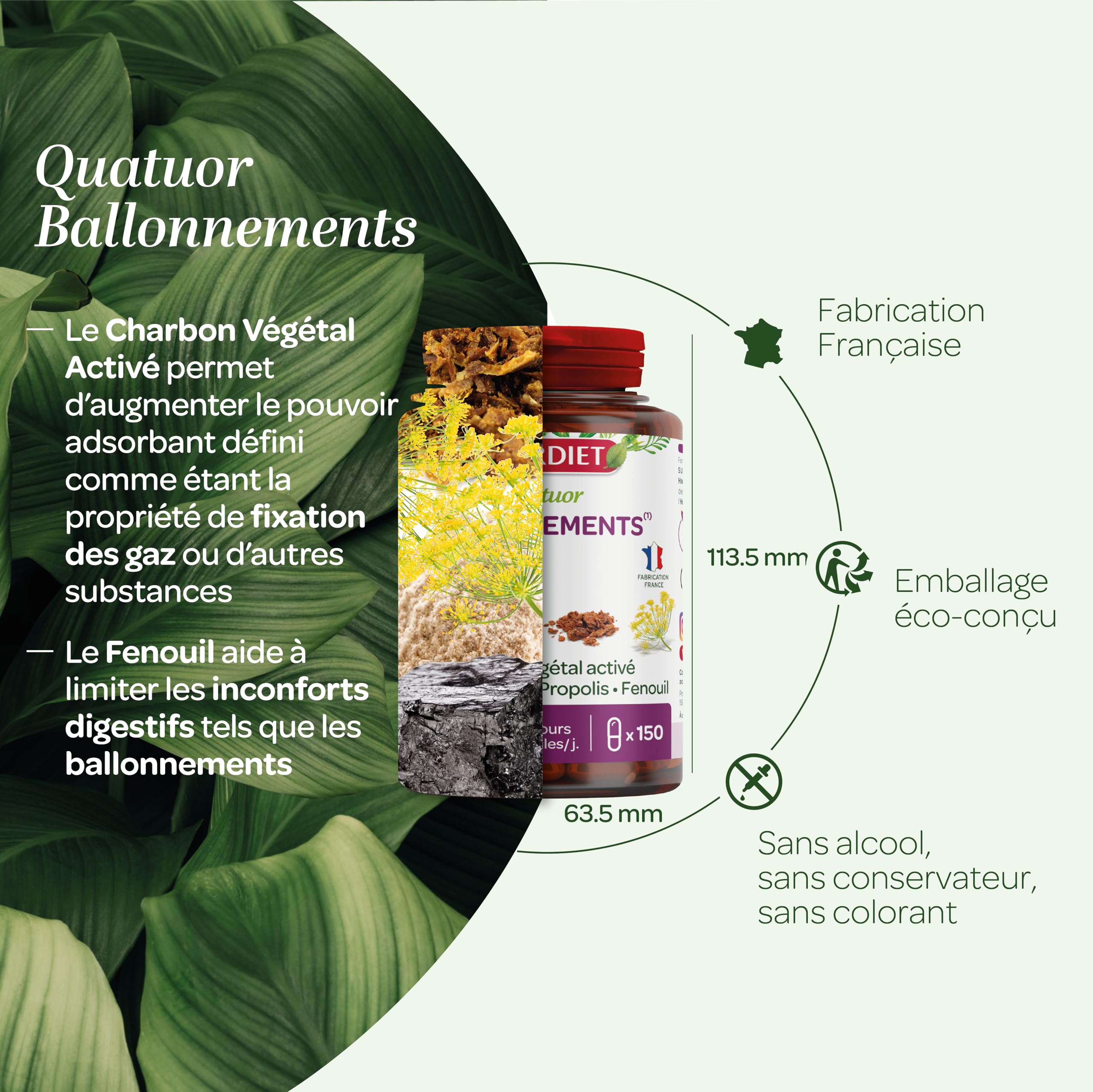 SUPERDIET - QUATUOR BALLONNEMENTS - Charbon végétal activé, Levure de bière, Propolis, Fenouil – Fabrication Française – 150 gélules