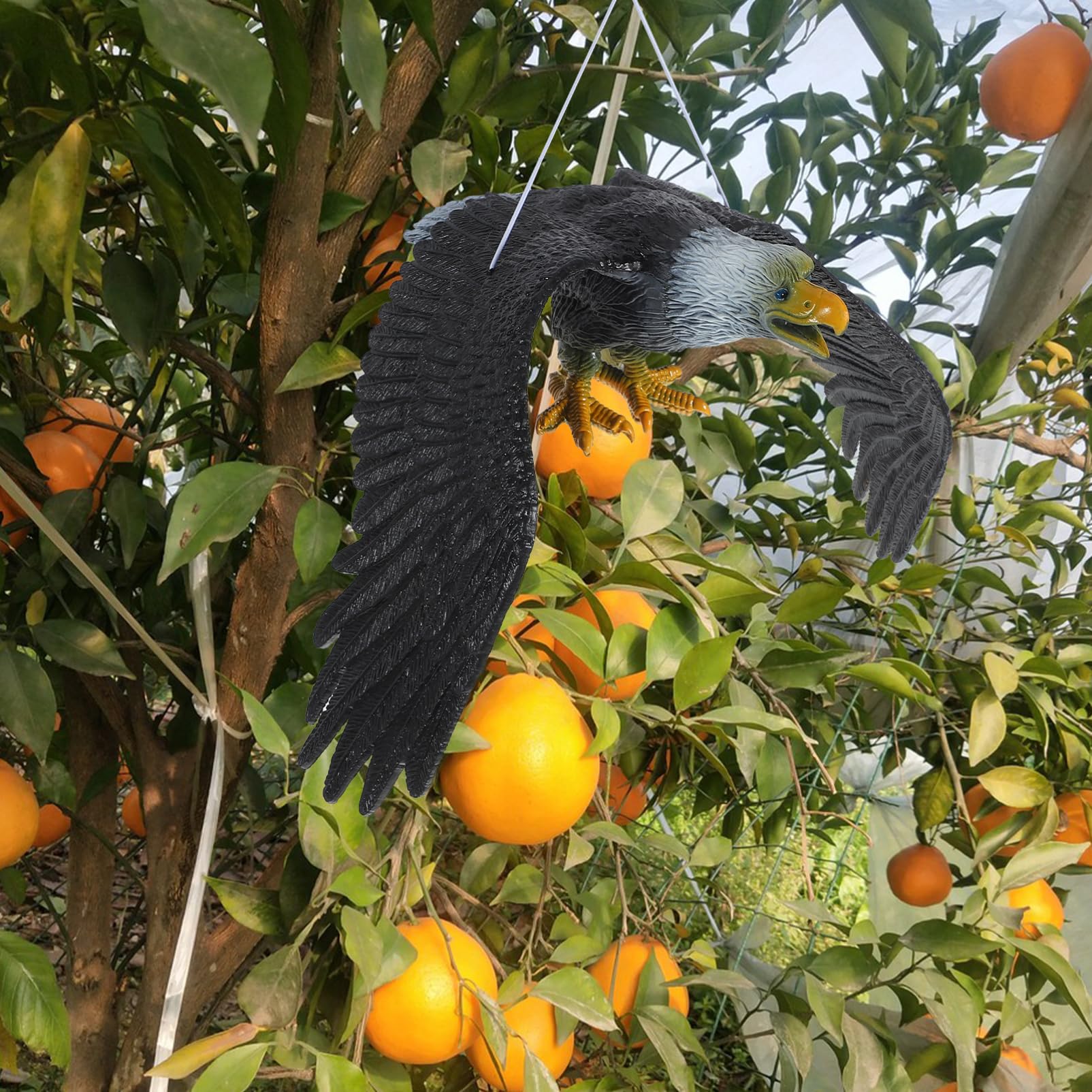 Aquila Spaventa Piccioni in Pvc Nero Dimensioni Reali a Forma di Aquila, Decorazione Chic e Stabile per Giardino Appeso all Esterno come Dissuasore per Uccelli
