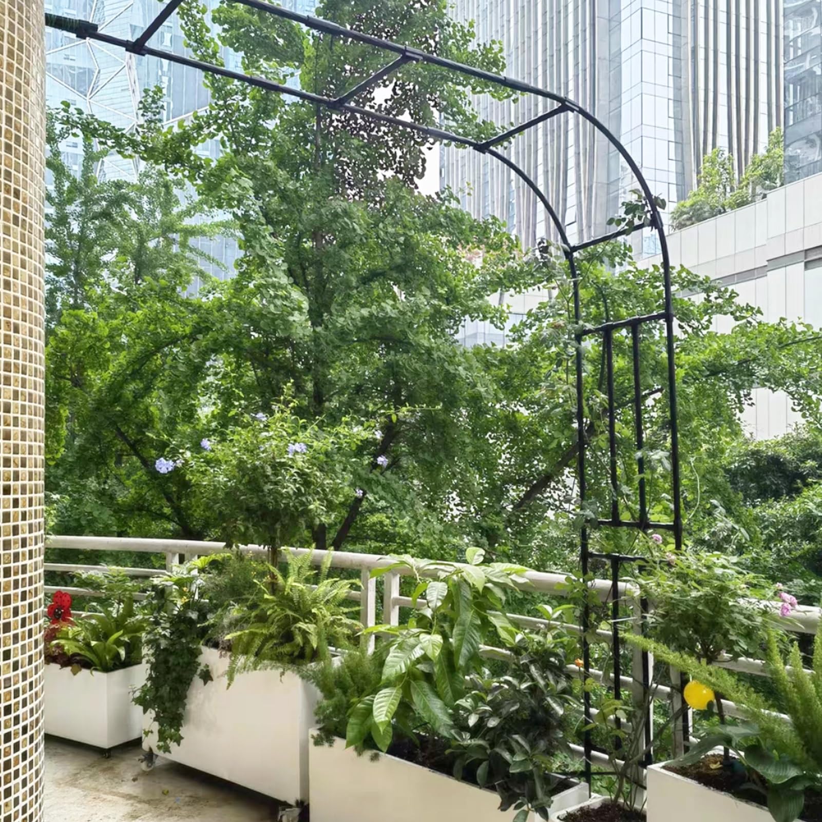 Arche de jardin en métal tuteur solide pour légumes et fruits grimpants 60x240cm