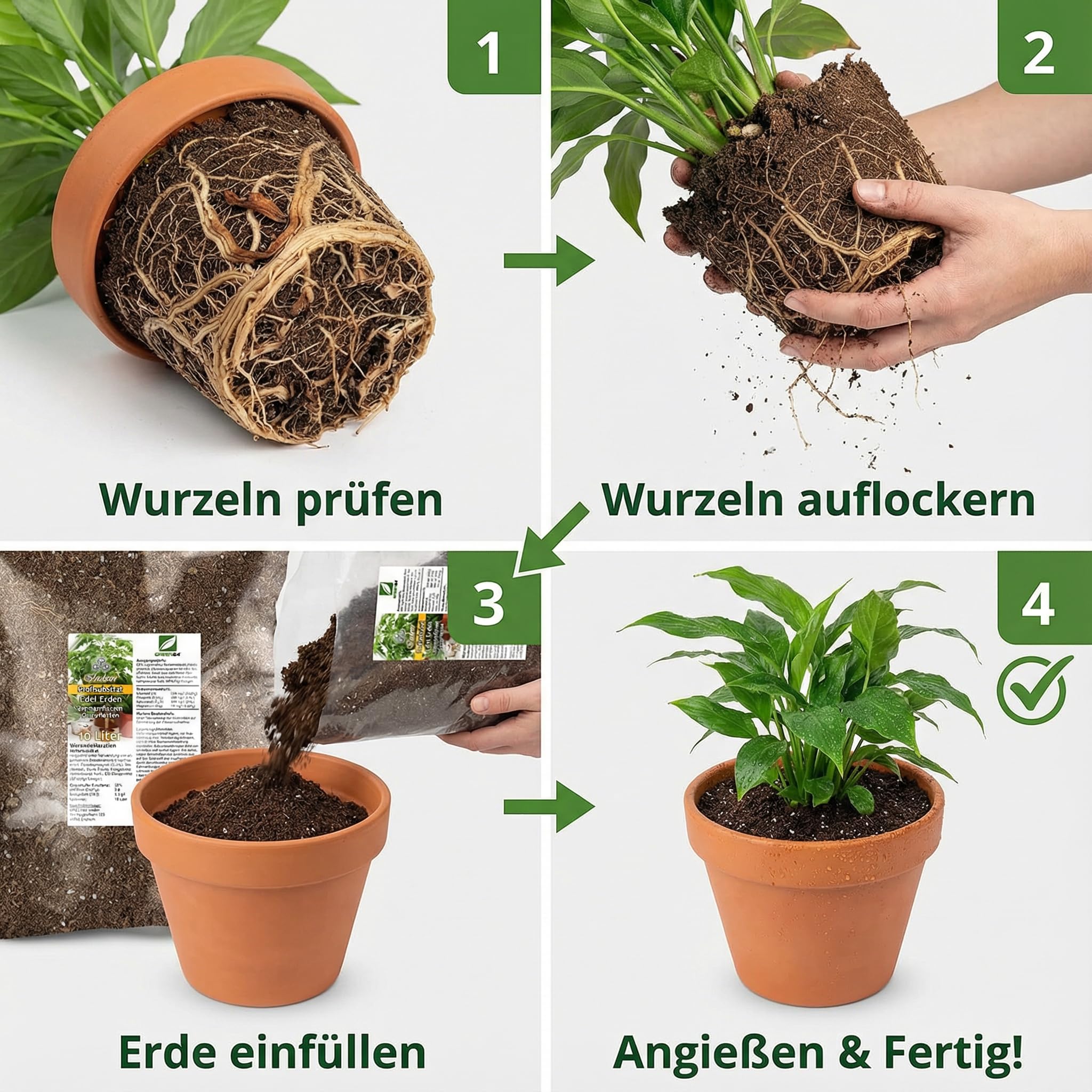 GREEN24 Zimmerpflanzenerde 10 L  Profi Linie Substrat fr Grnpflanzen &  Indoor-Pflanzen, locker, nhrstoffreich, torfreduziert, fr gesundes  Wachstum : Amazon.de: Garten