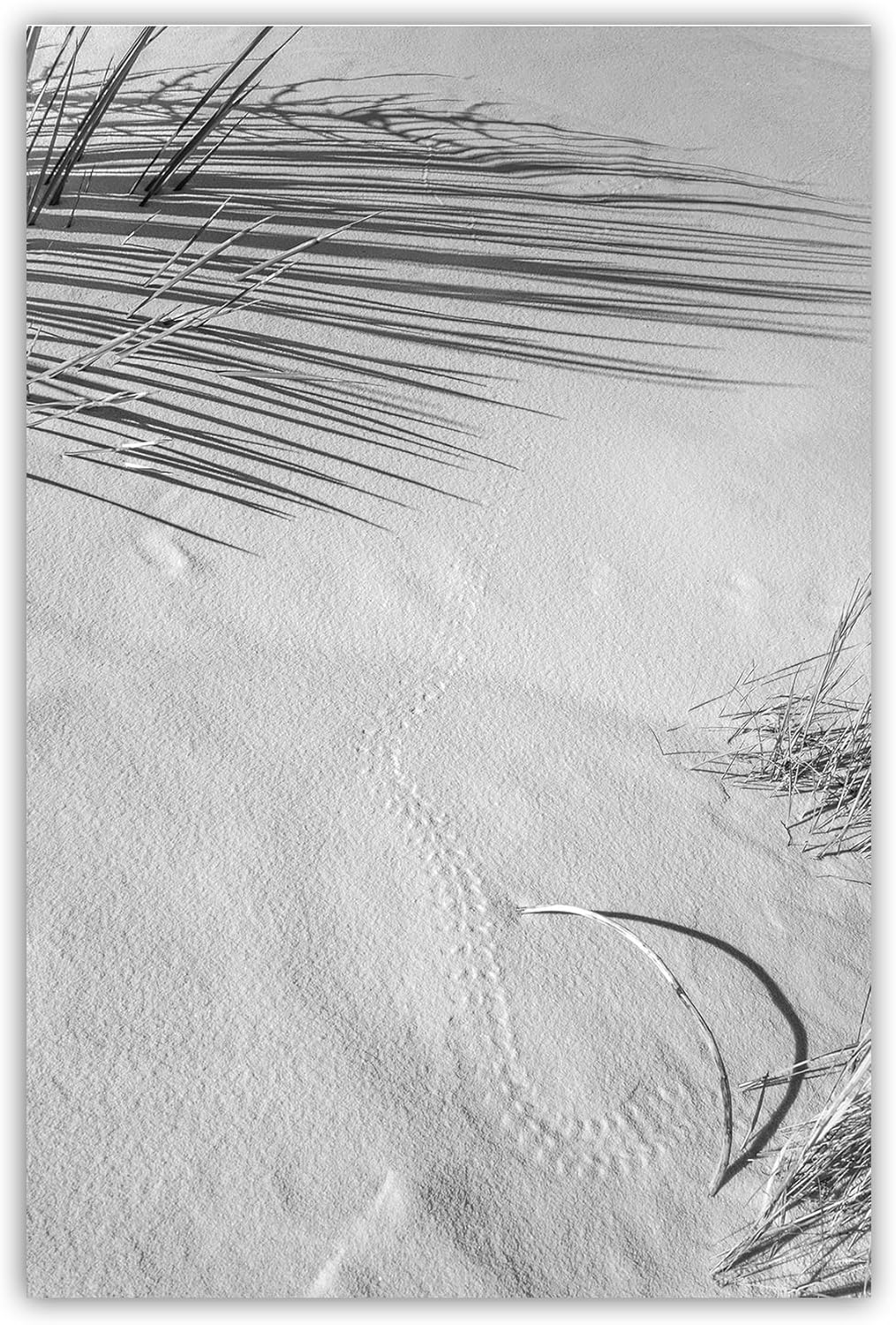 Black and White Desert Dunes Photograph as Unique Gift for Art Lover on a Vertical Print