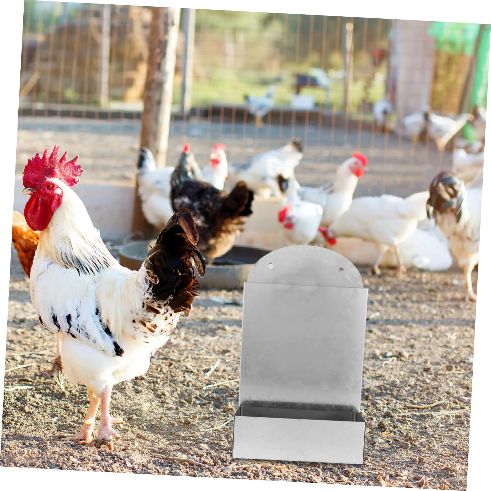 BESTonZON Mangiatoia Automatica Per Polli Guscio d Ostrica Distributore Di Mangime in Metallo Resistente Alle Intemperie Accessorio Per Alimentazione Parete Per Piccole Fattorie