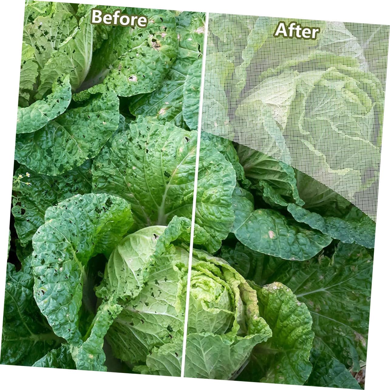 Abaodam Malla para Protección de Plantas Jardín Pájaros y Ardillas Jardín Sombreo Barrera Frutas Vegetales