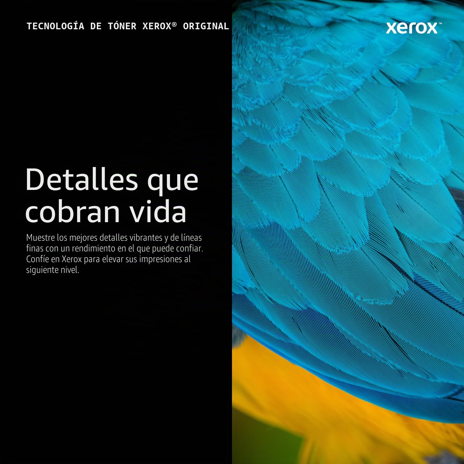 Xerox Original B210 / B205 / B215 Negro Cartucho de Tóner Estándar Capacidad (1,500 Páginas) - 106R04346