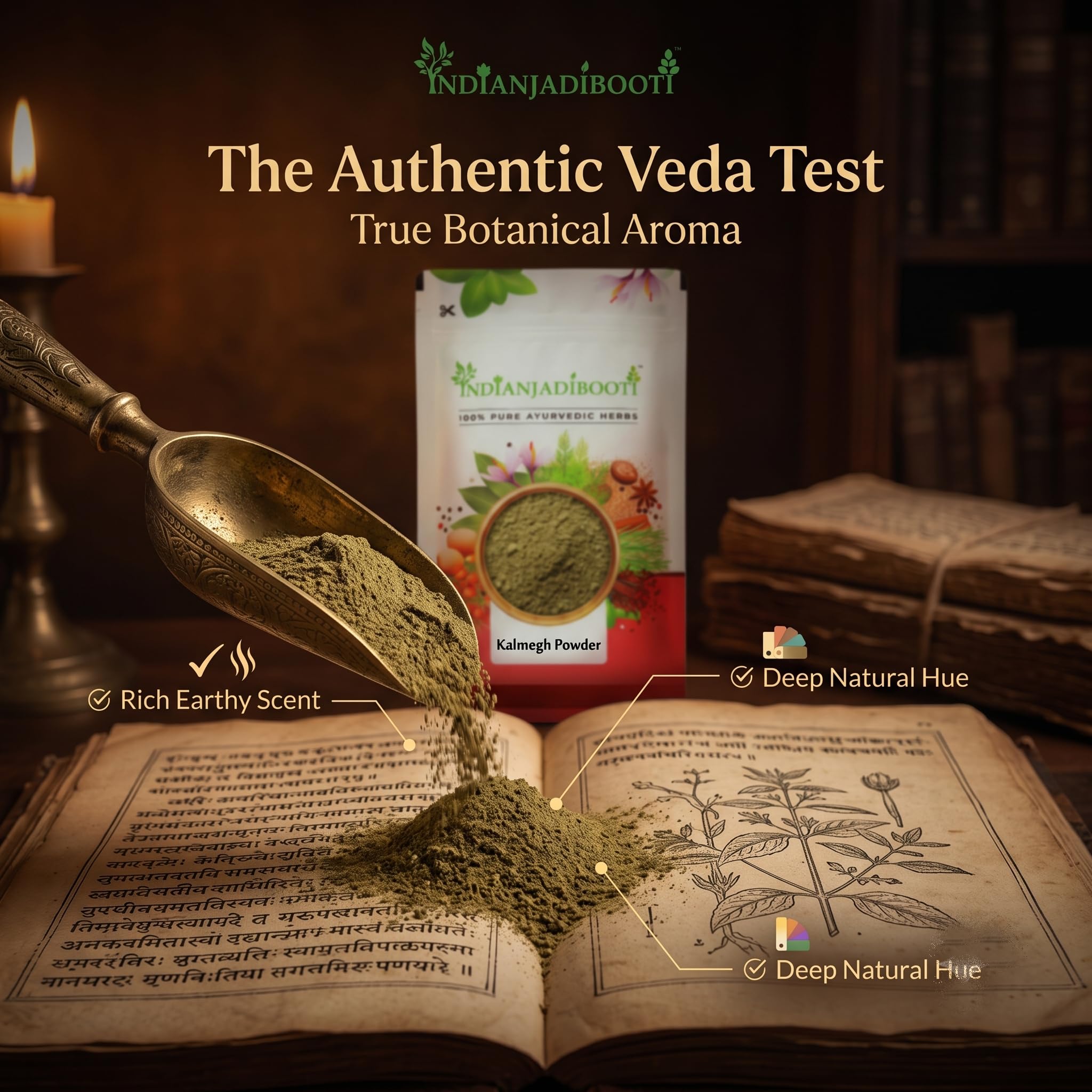 IndianJadiBooti Pure Kalmegh Powder (Andrographis Paniculata) | Traditional Botanical for Liver Harmony, Systemic Detox & Holistic Immunity - 100g 2