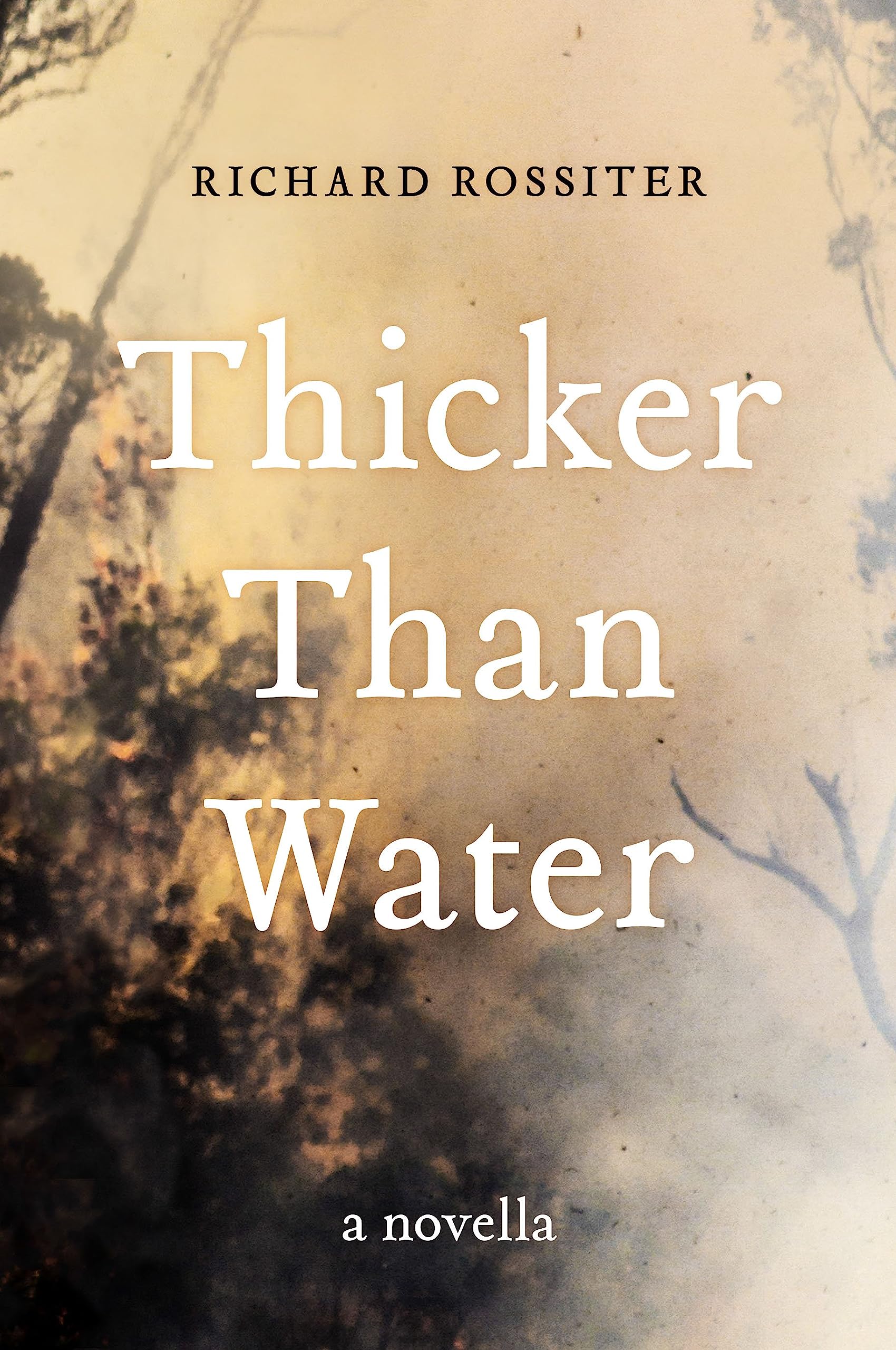 Thicker Than Water: A novella