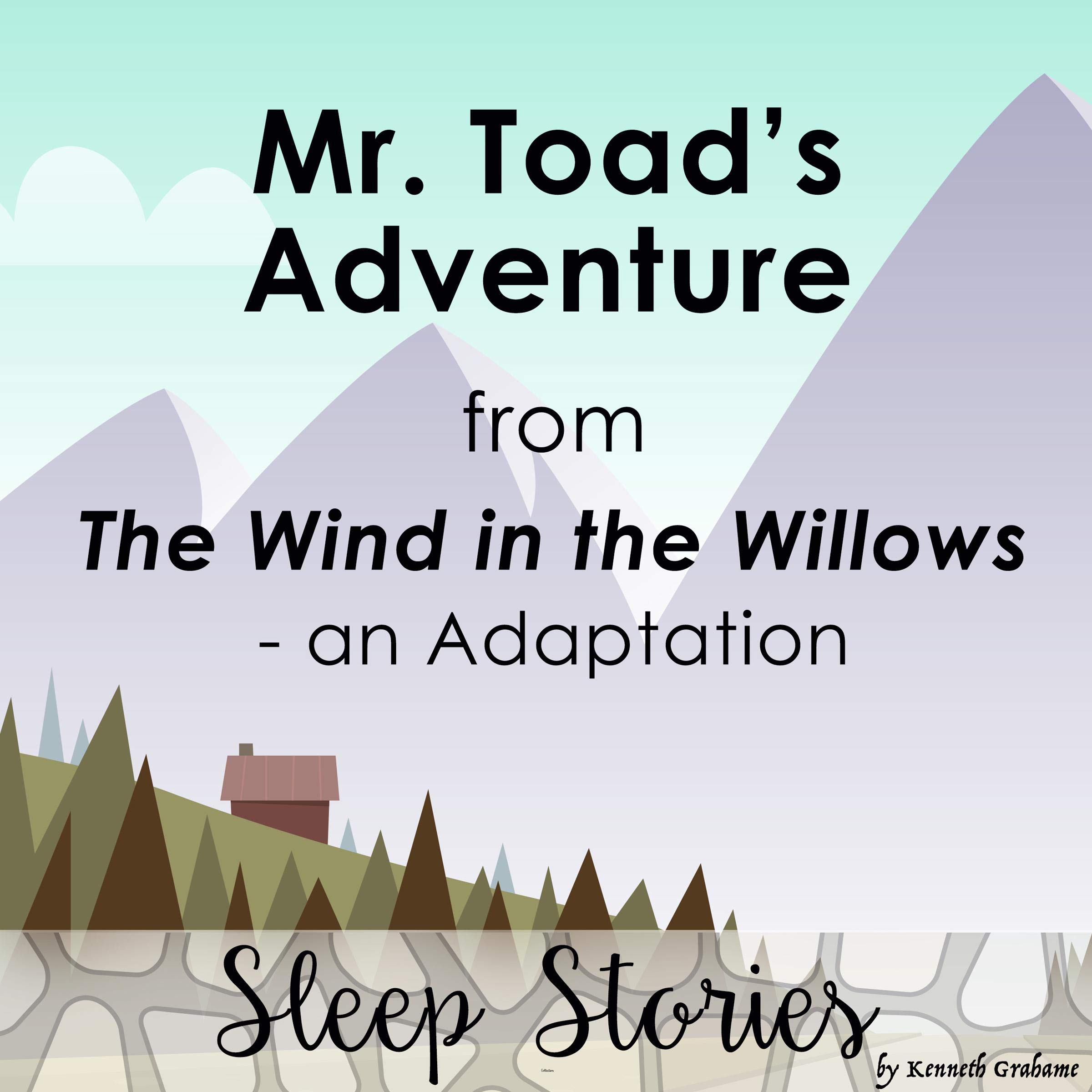 Cover art for Mr. Toad's Adventure from the Wind in the Willows: An Adaptation