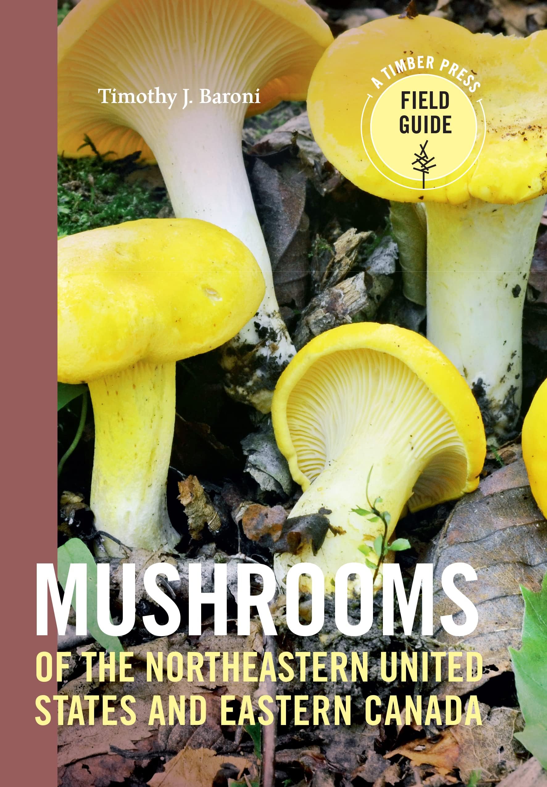 Mushrooms of the Northeastern United States and Eastern Canada (A Timber Pres...