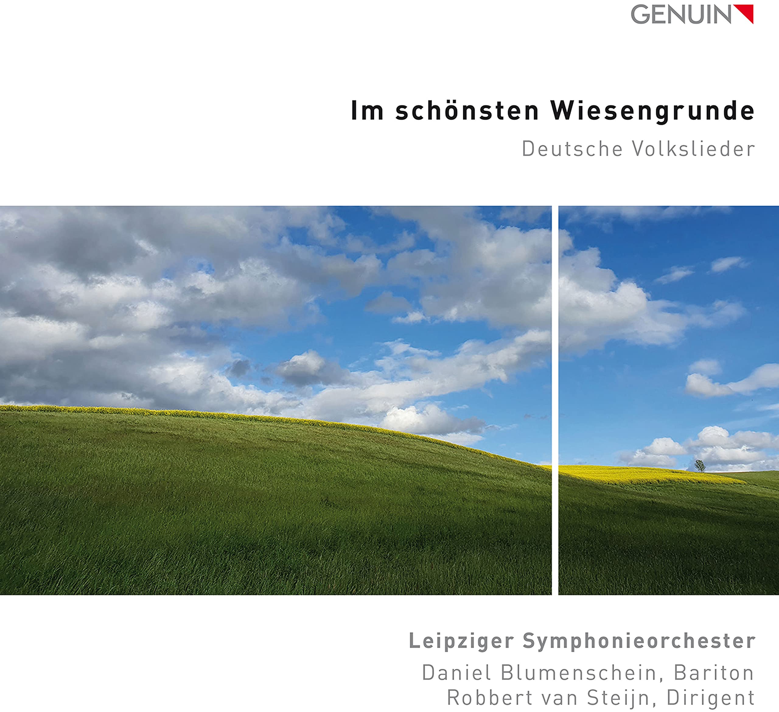 Im schönsten Wiesengrunde