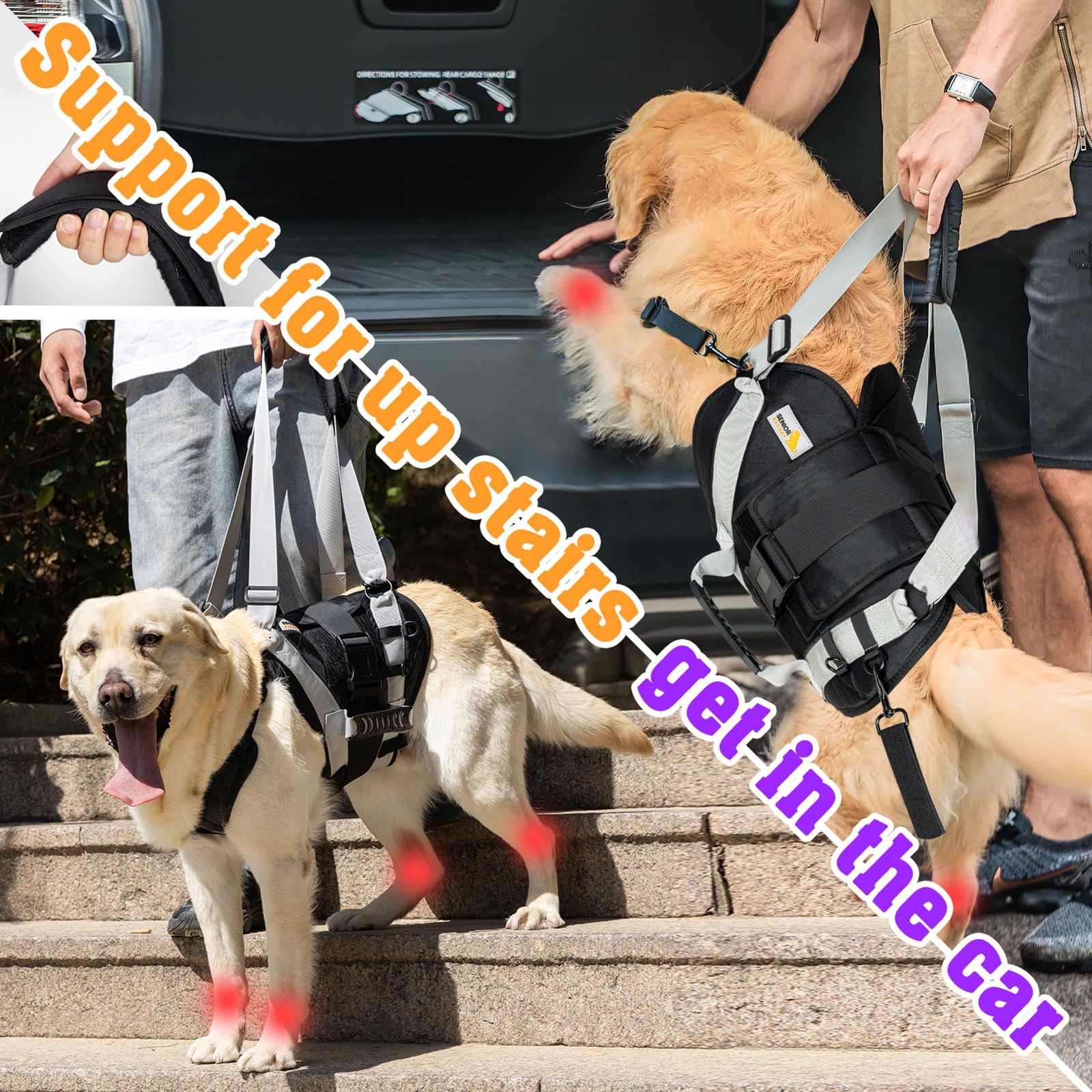 Arnés de elevación para perros grandes, transportador de cuerpo completo con asa, para soporte de patas traseras, lesiones articulares de perros, artritis (XL)