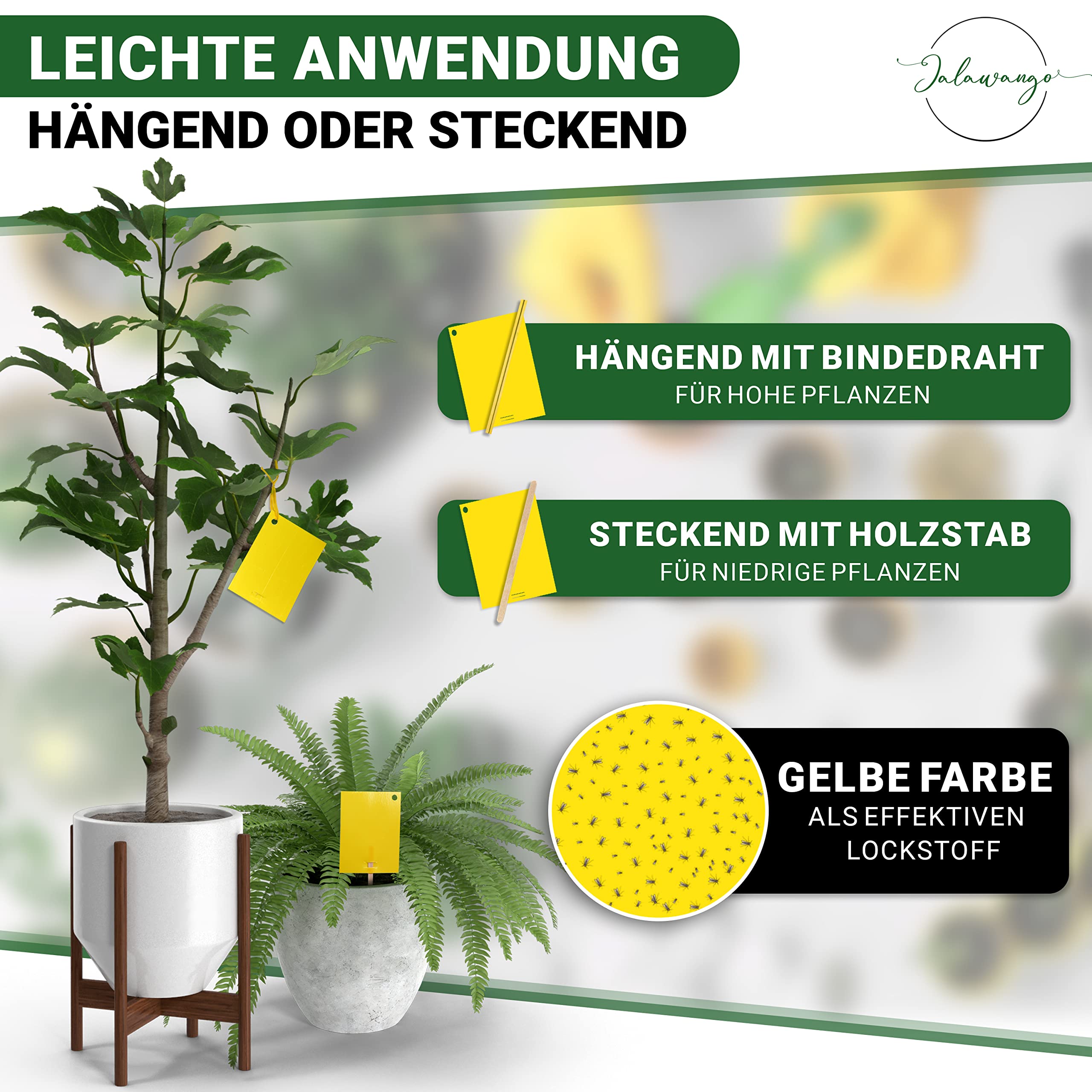 Lot De 50 Autocollants Jaunes - Lutte Efficace Contre Les Moustiques Funéraires - Piège Jaune