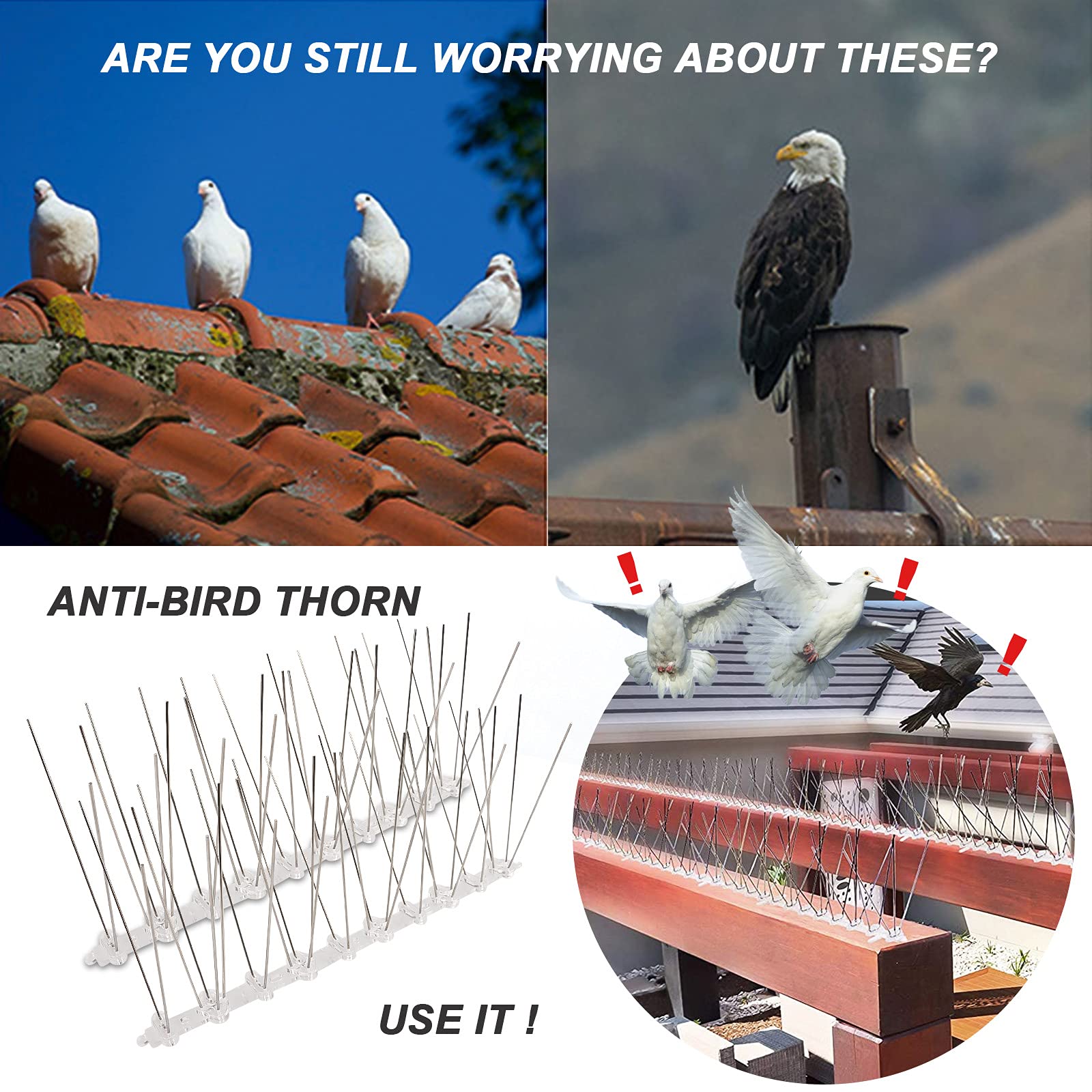 Pics anti oiseaux et pigeons en acier inoxydable - Pics anti pigeons