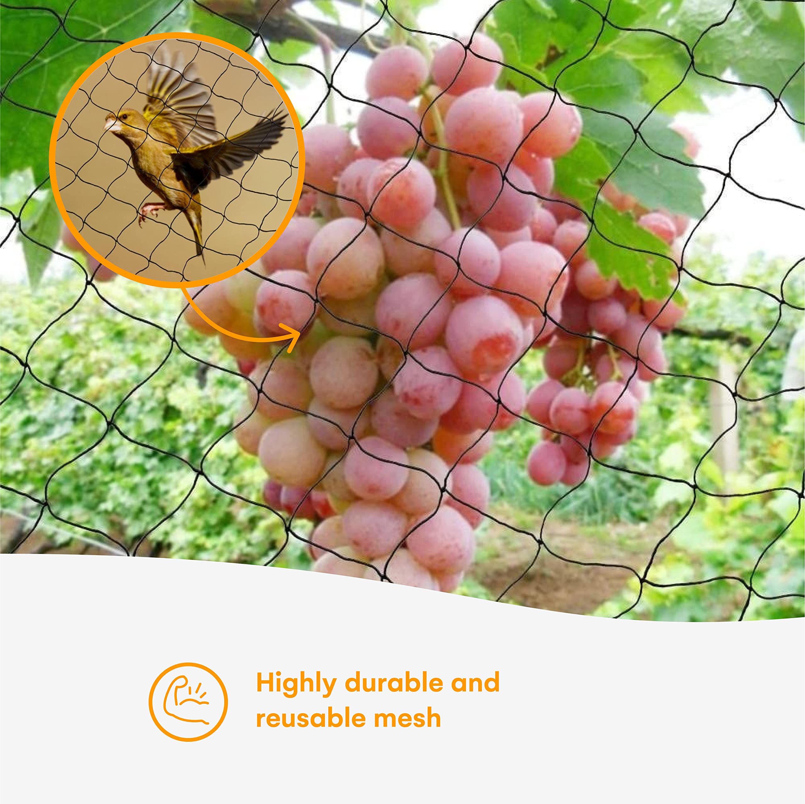 Nylon Mesh Anti Bird Netting [25 X 50] ft for Fruit Trees Used As Bird