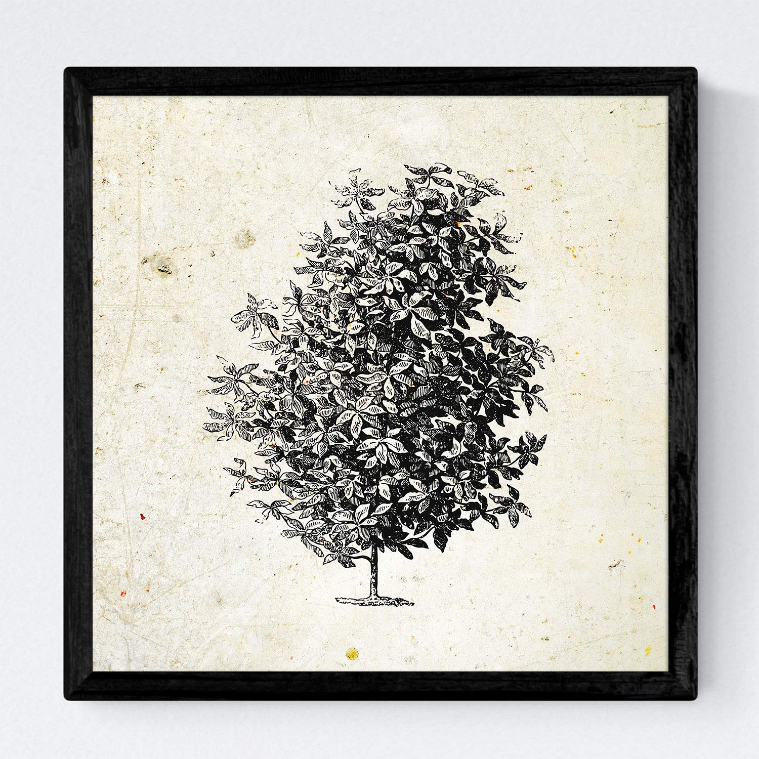 Nacnic Set de cuatro láminas con marco de arboles. Arboles ramas frondosas en tamaño 30x30 cm, fondo papel antiguo vintage Con marco
