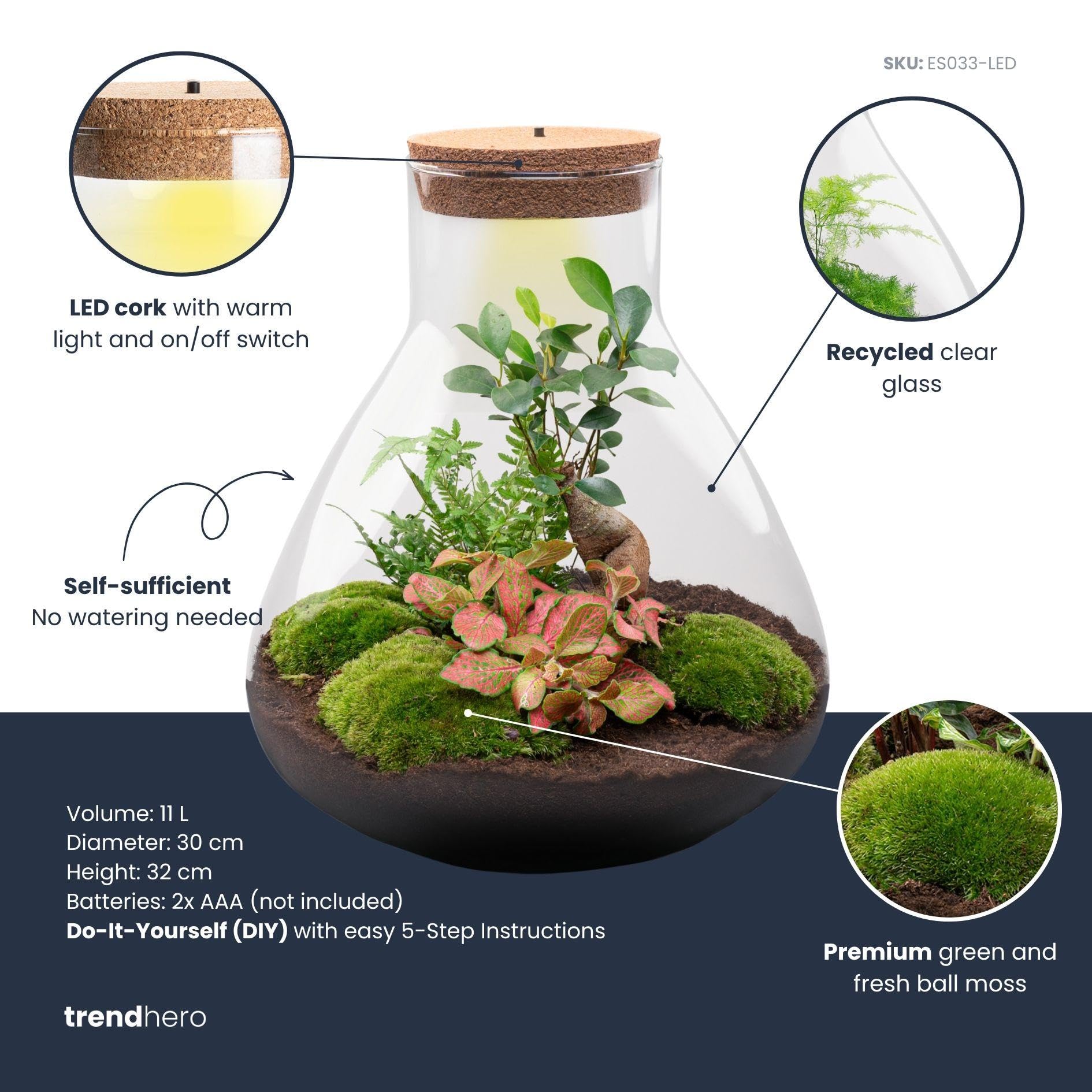 DIY Terrarium mit LED, Glas, Deko Set mit Bonsai, Grün, Ø 30 cm