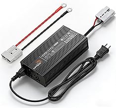 LVYUAN (Ryokuen) DC14.6V 20A LiFePO4 Lithium Iron Phosphate Battery Dedicated Charger with Fast Charging/Smart Charger/Float Charging Function/0V Charging Function, PSE Certified, 12V (14.6V