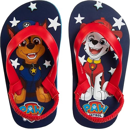 Nickelodeon Sandalias de agua para niños y niñas - Paw Patrol Blues Clues Baby Shark - Sandalias de playa de verano para niños pequeños de secado