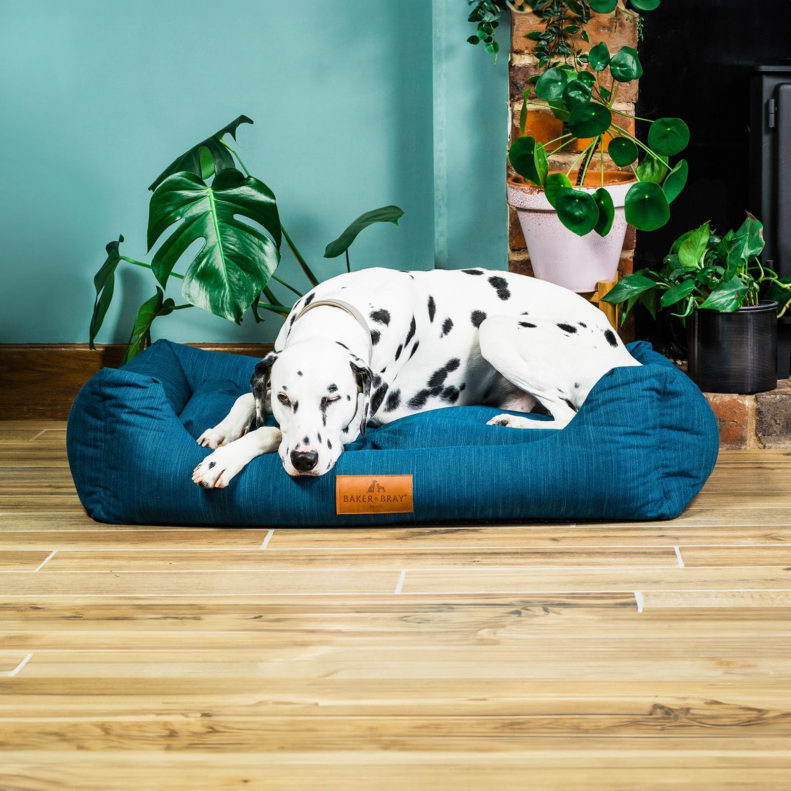 Baker and Bray - The Ultimate - Eco Friendly Orthopaedic Luxury Dog Bed. Handmade in Europe. Teal Blue Green (Large/Extra-Large up to 35 kg).