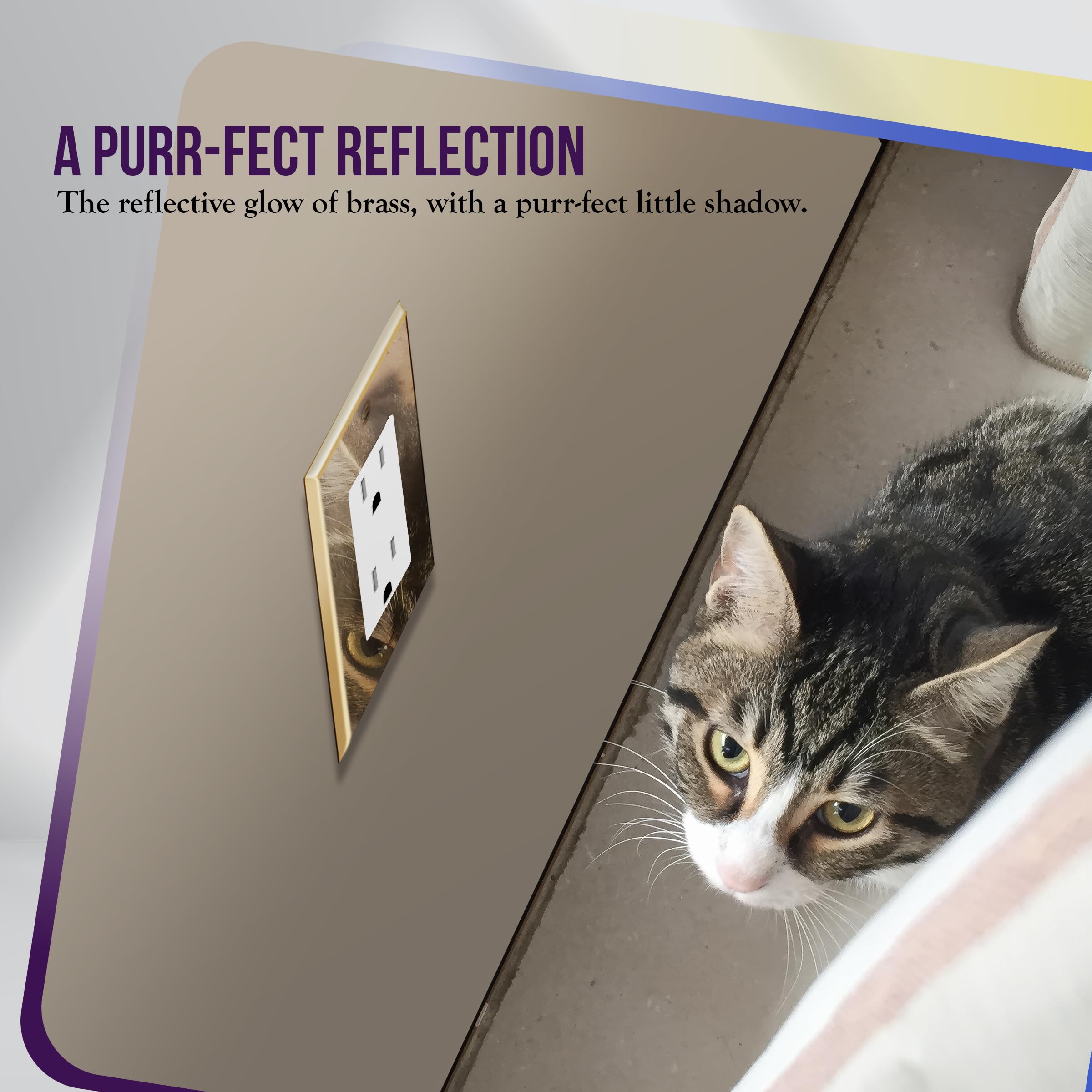 Acier Inoxydable 316 Résistant à La Corrosion Et Facile à Usiner