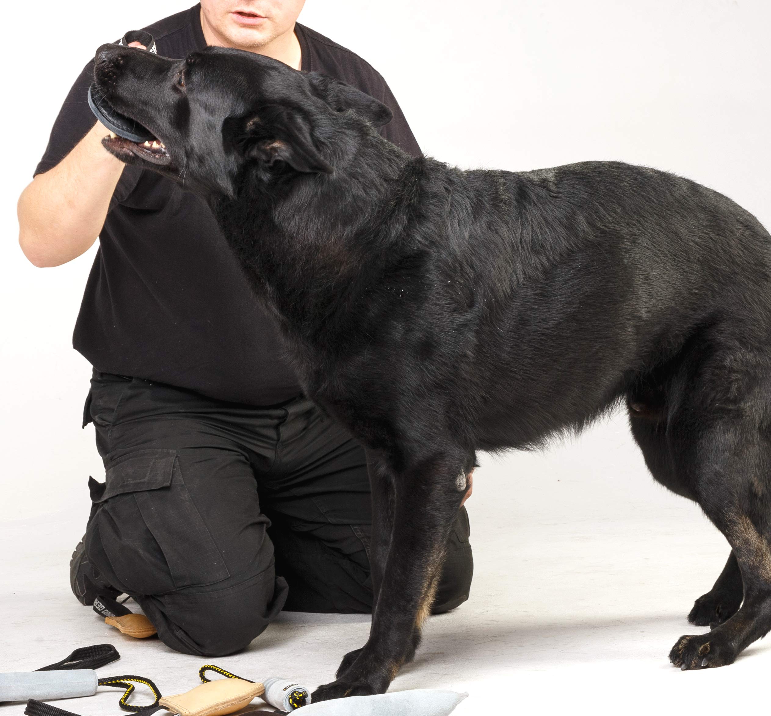 Dingo Gear S00229 - Giocattolo in Vera Pelle, Fatto a Mano, per addestramento e Gioco del Cane, Colore: Nero