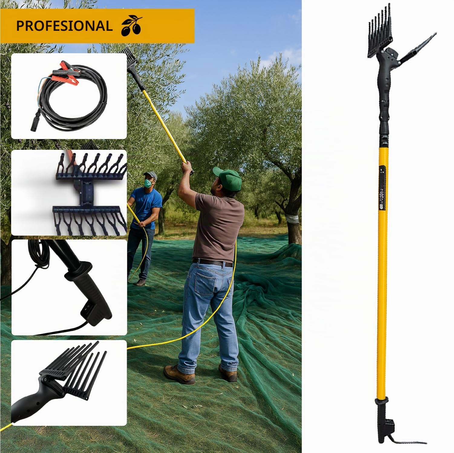 Crisalide® - Vareador para aceitunas, recoge aceitunas profesional con peines de tecnopolímero - Alta productividad y delicadeza sobre las plantas, barra telescópica y cable de 15 m, tensión 12 V
