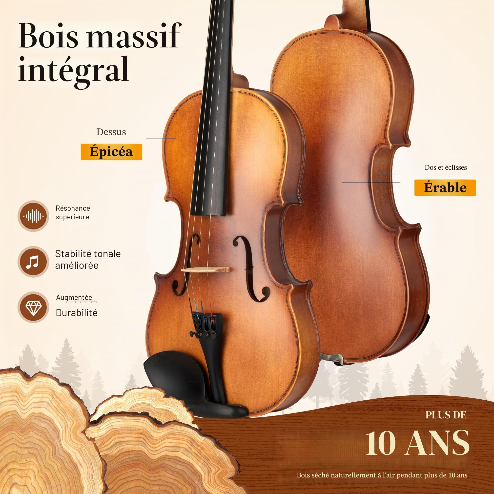 CAHAYA Violon 4/4 Bois Massif Fait Main Table Épicéa Fond Érable Étui Accessoires